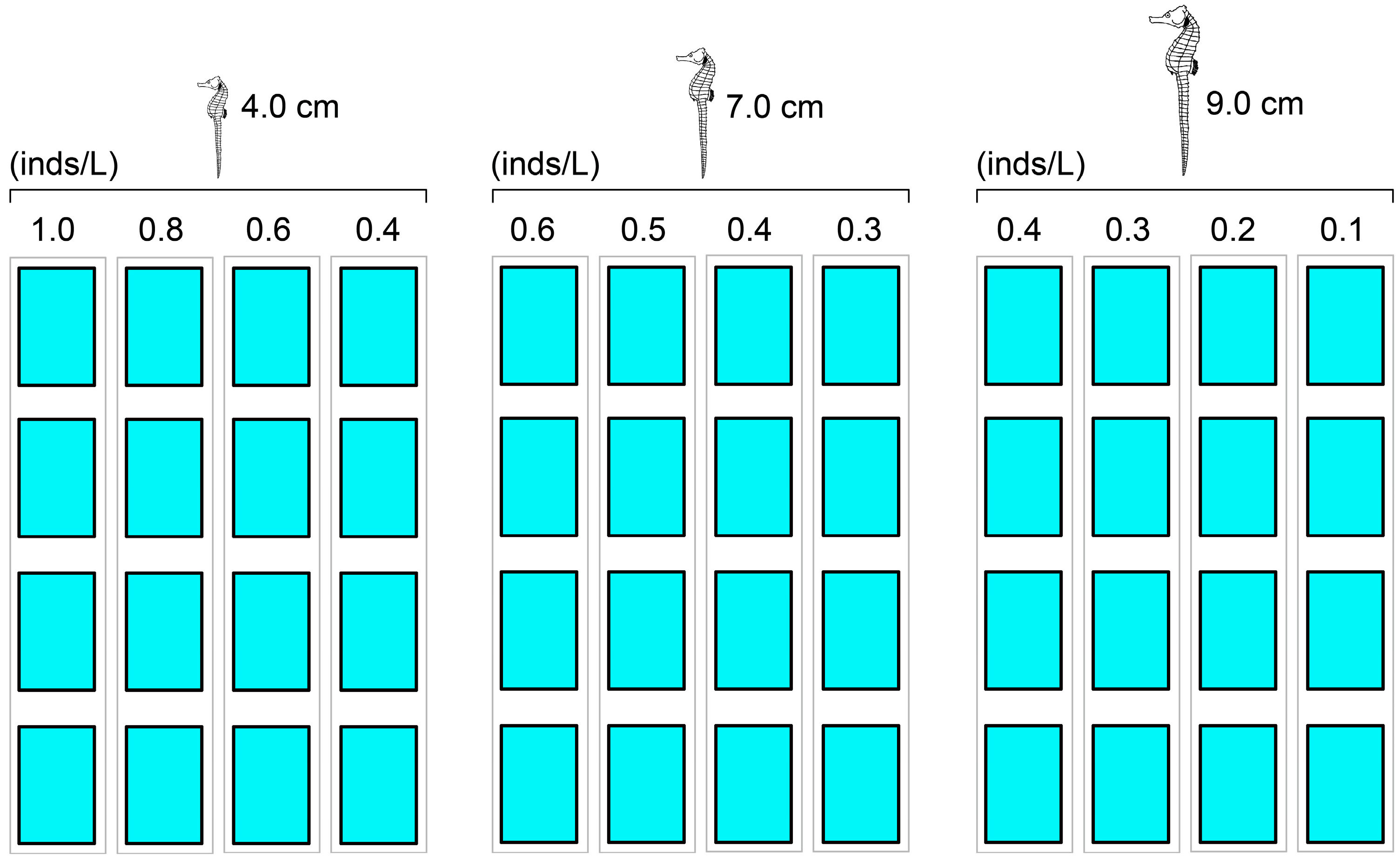 Biology 13 00807 g002