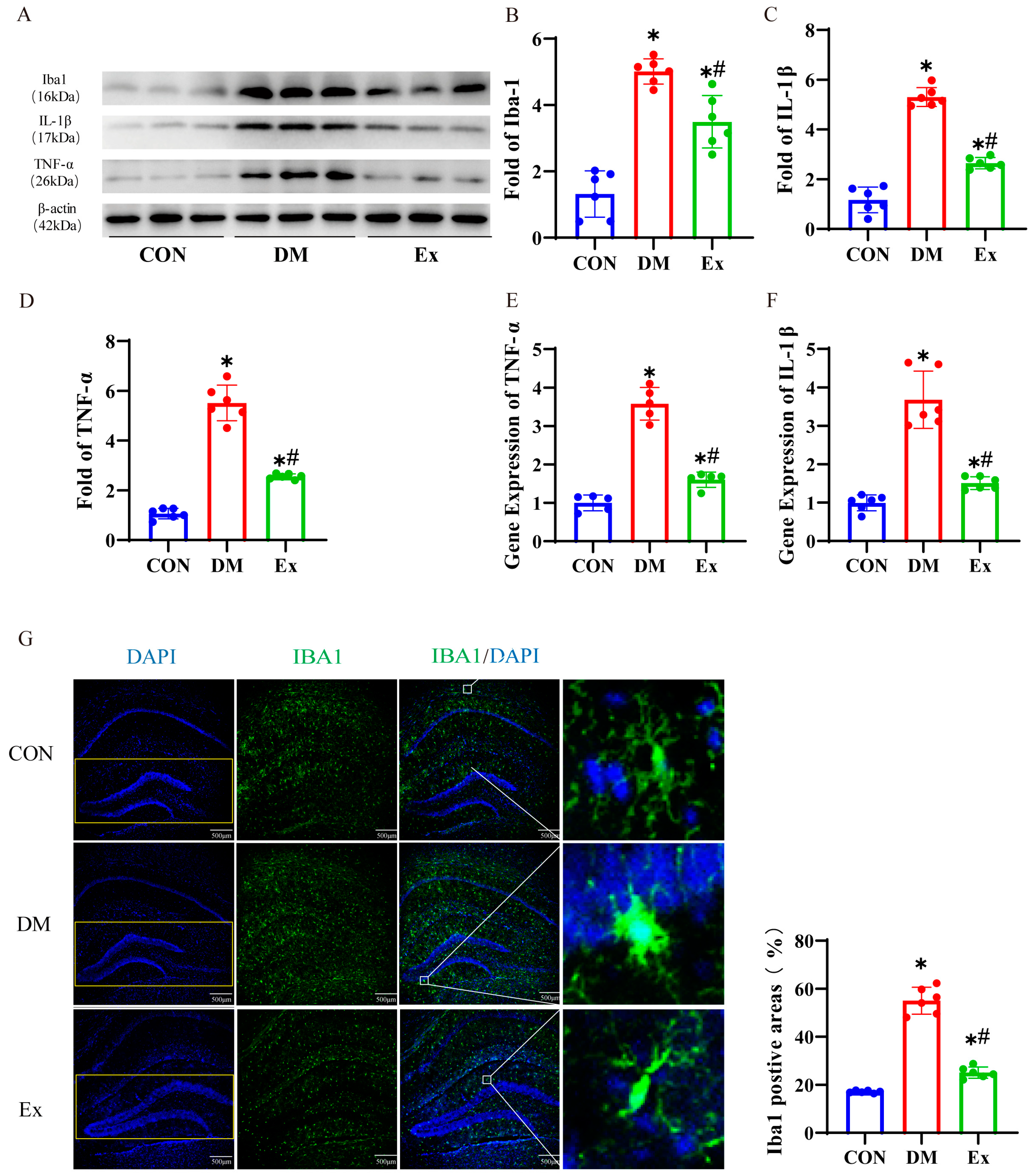 Biology 13 00809 g002