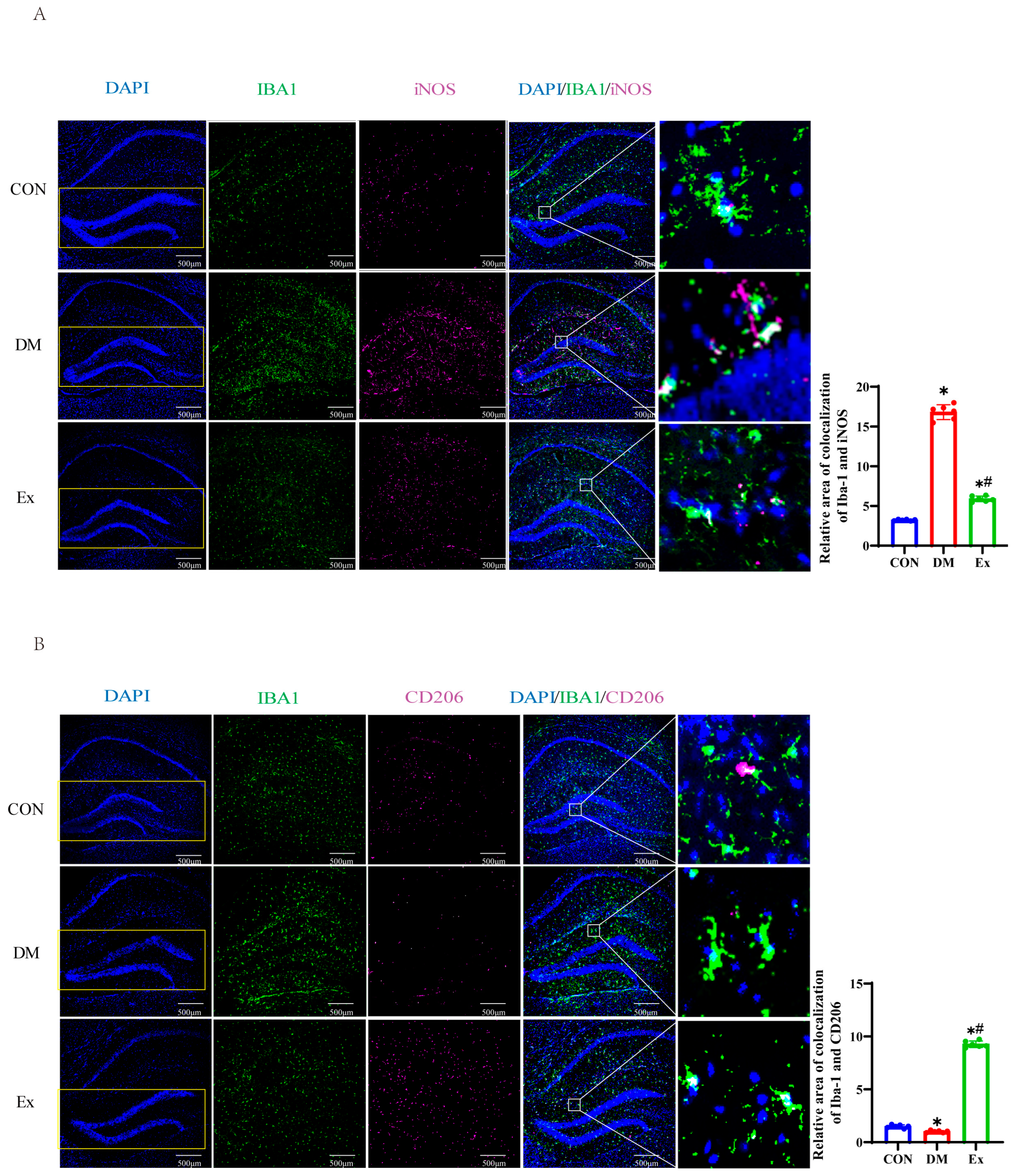 Biology 13 00809 g003