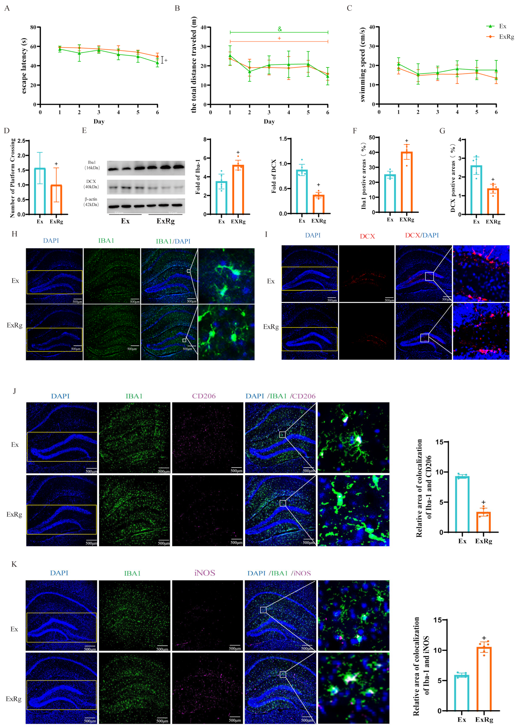 Biology 13 00809 g005