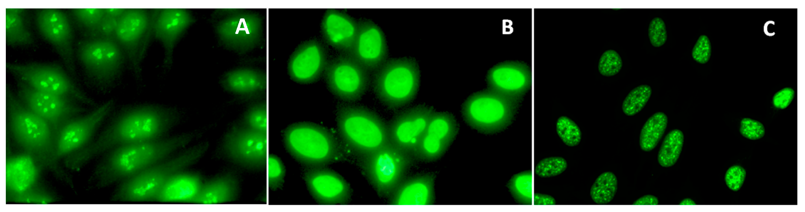 Biology 13 00812 g001