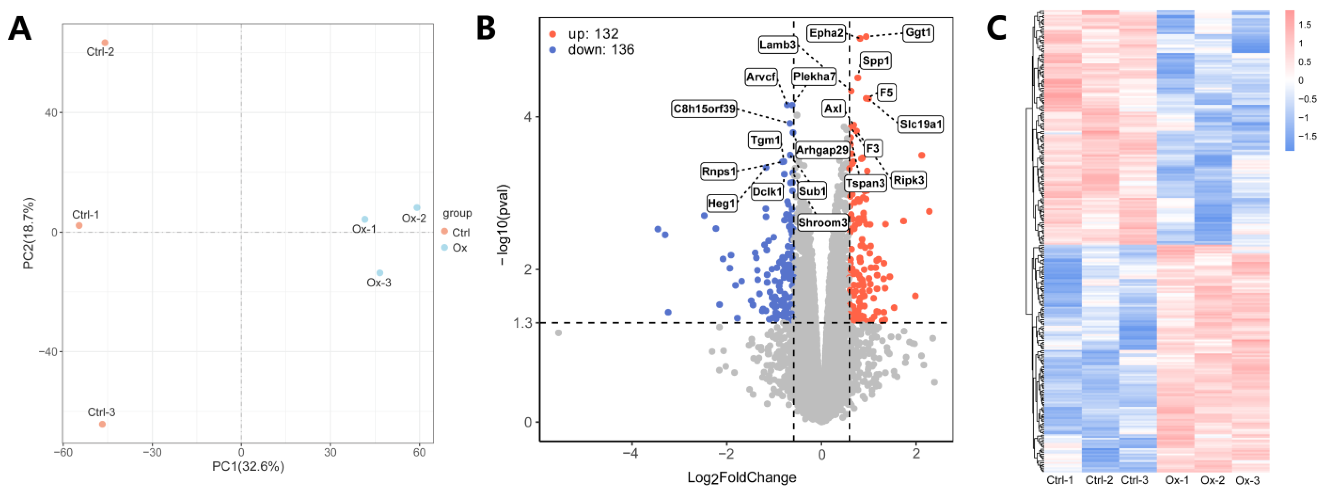 Biology 13 00814 g002 Biology 13 00814 g002