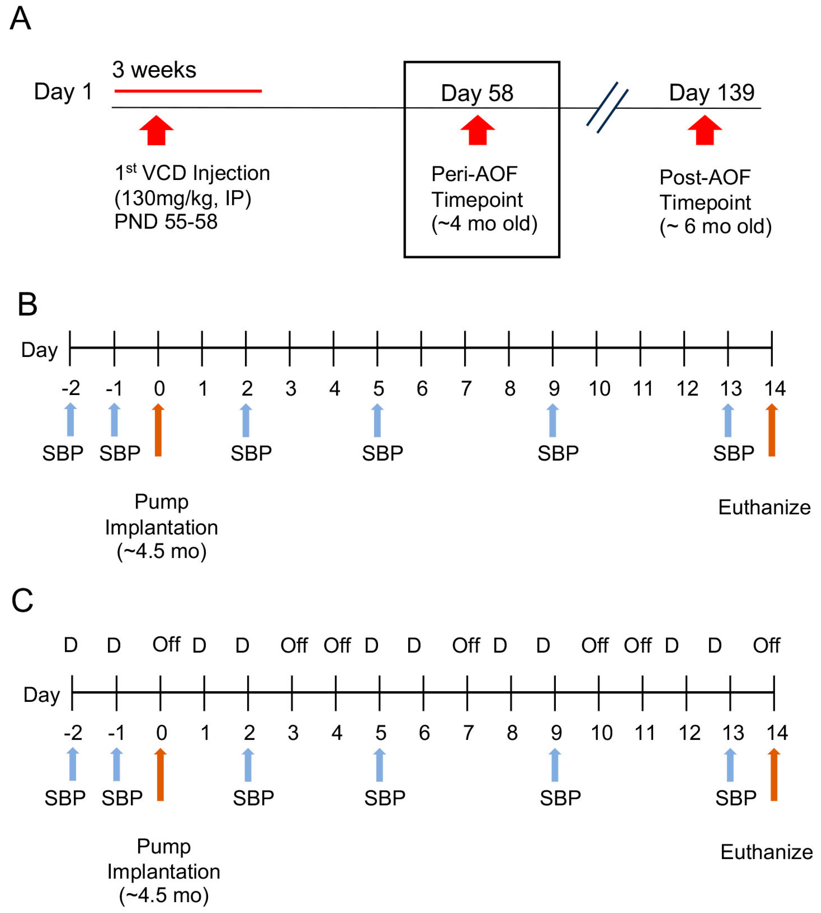Biology 13 00819 g001