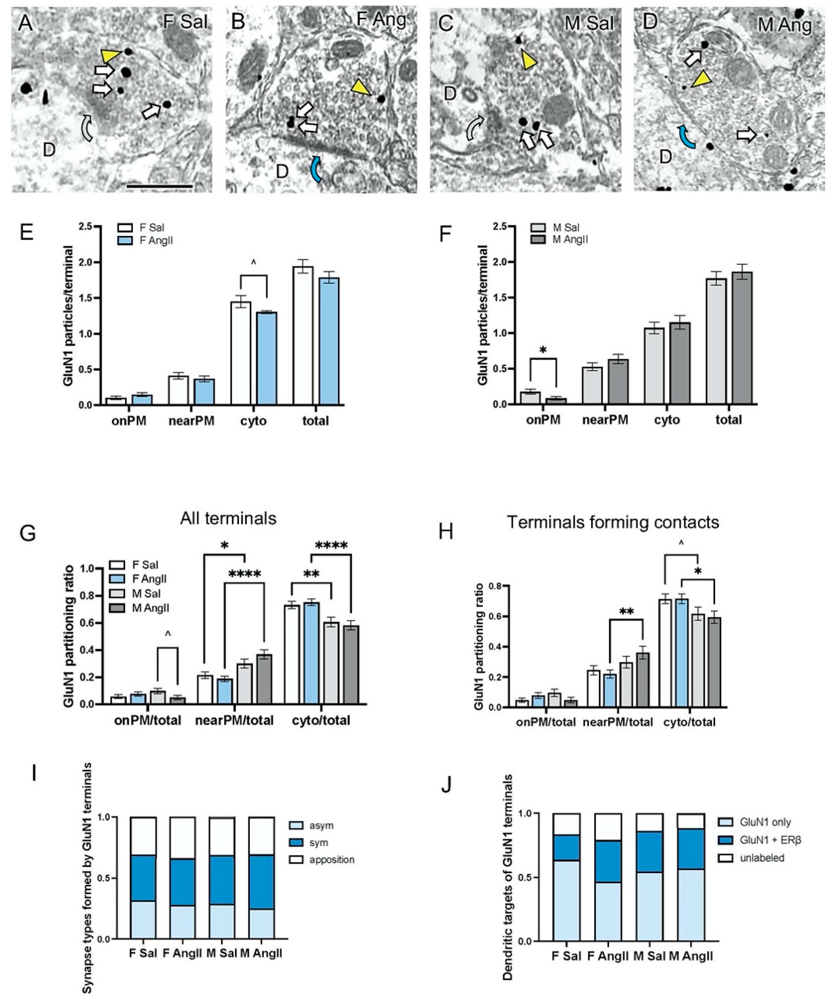Biology 13 00819 g003