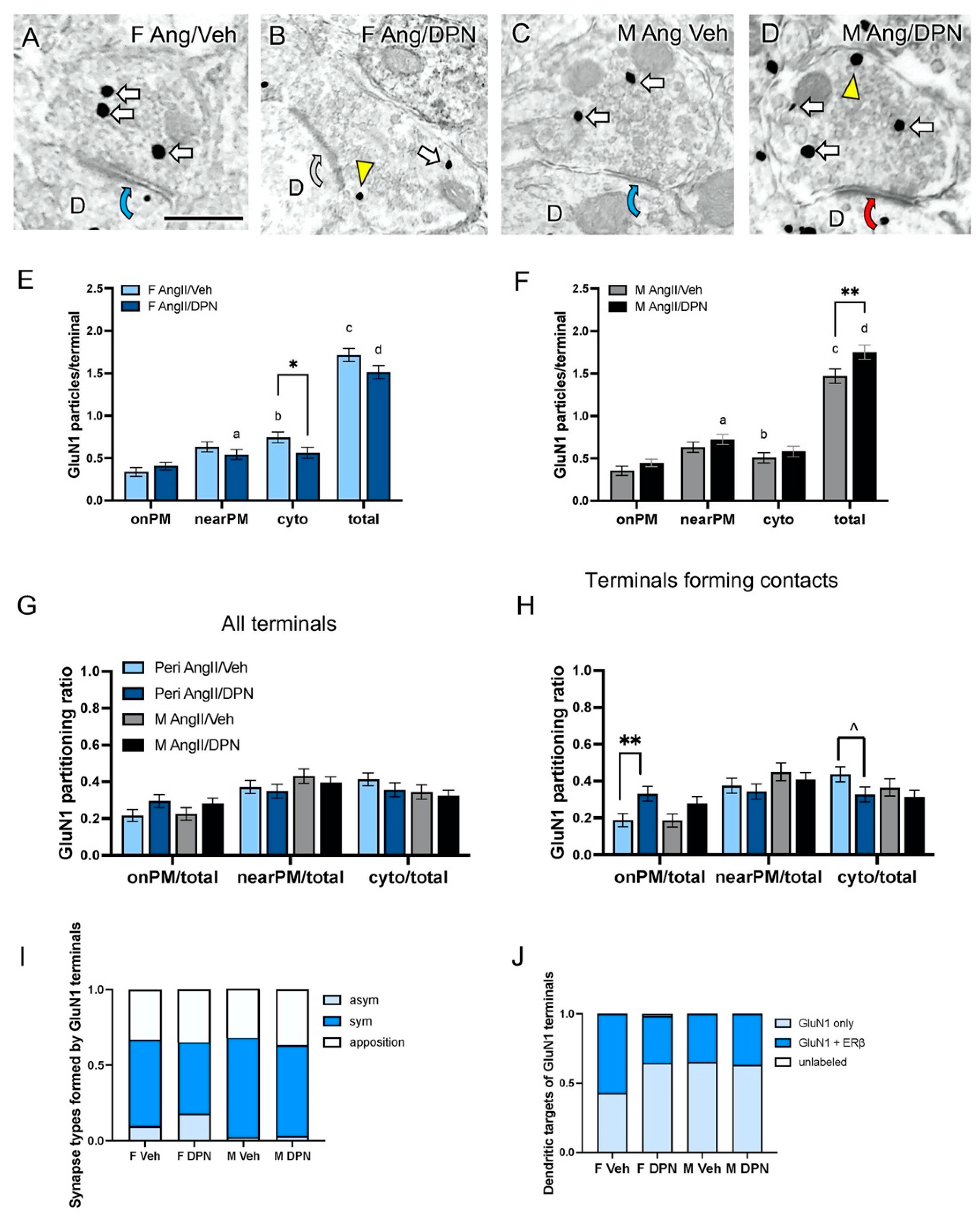 Biology 13 00819 g004