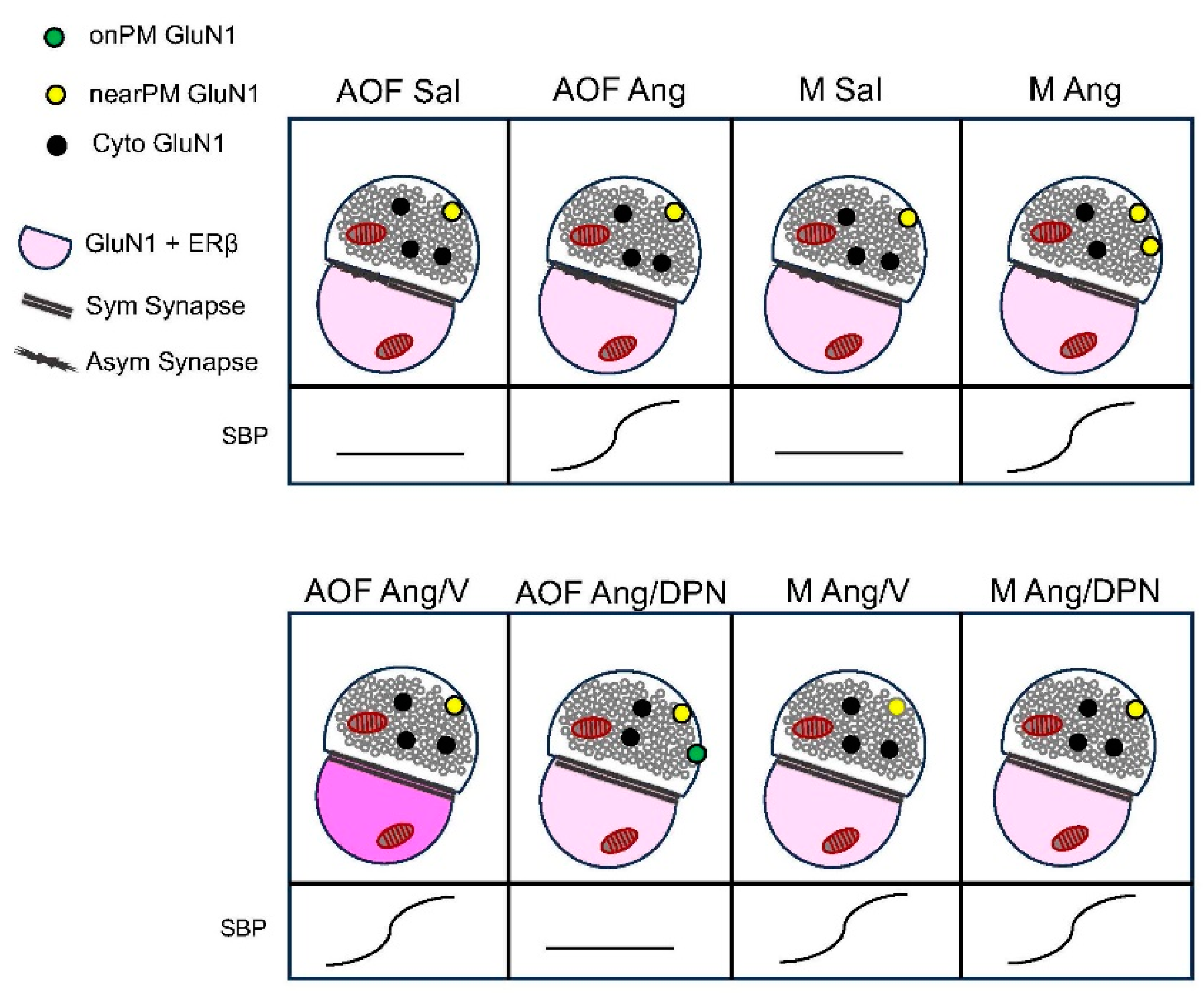 Biology 13 00819 g005