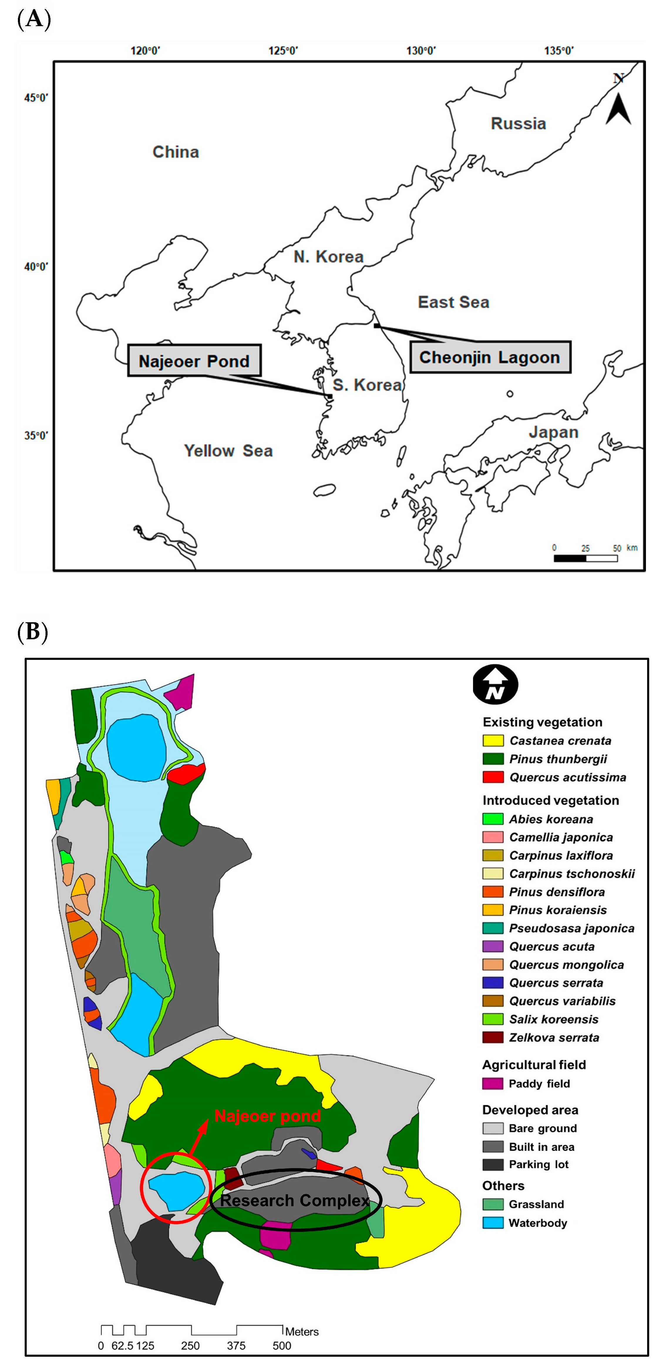 Biology 13 00820 g001
