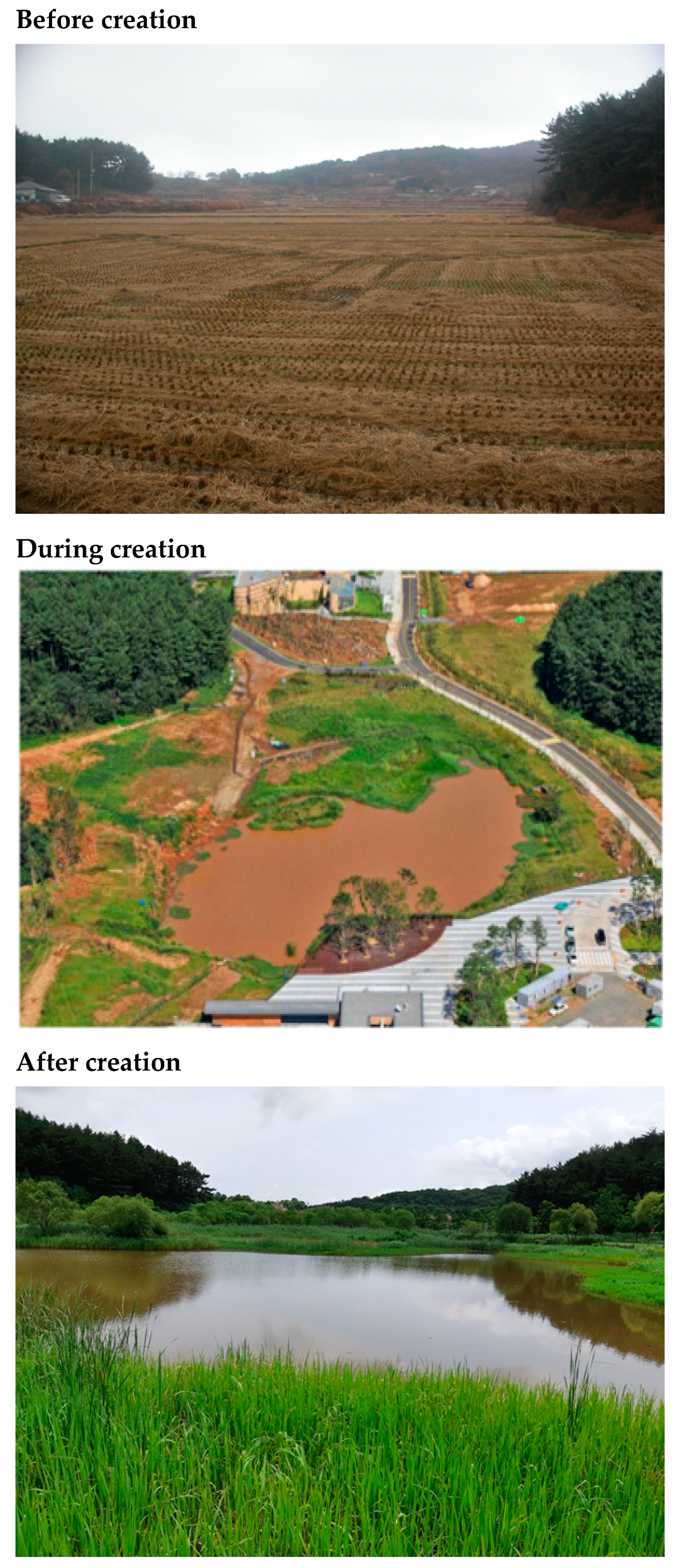 Biology 13 00820 sch001