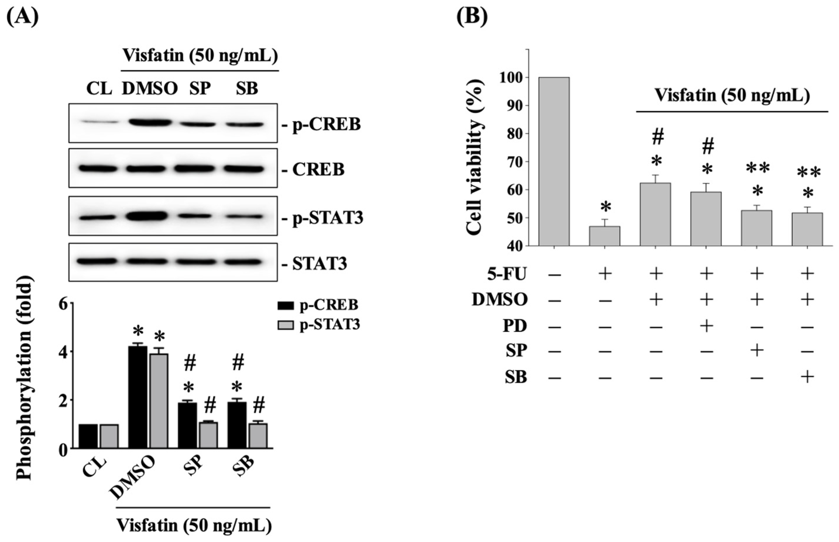 Biology 13 00821 g006
