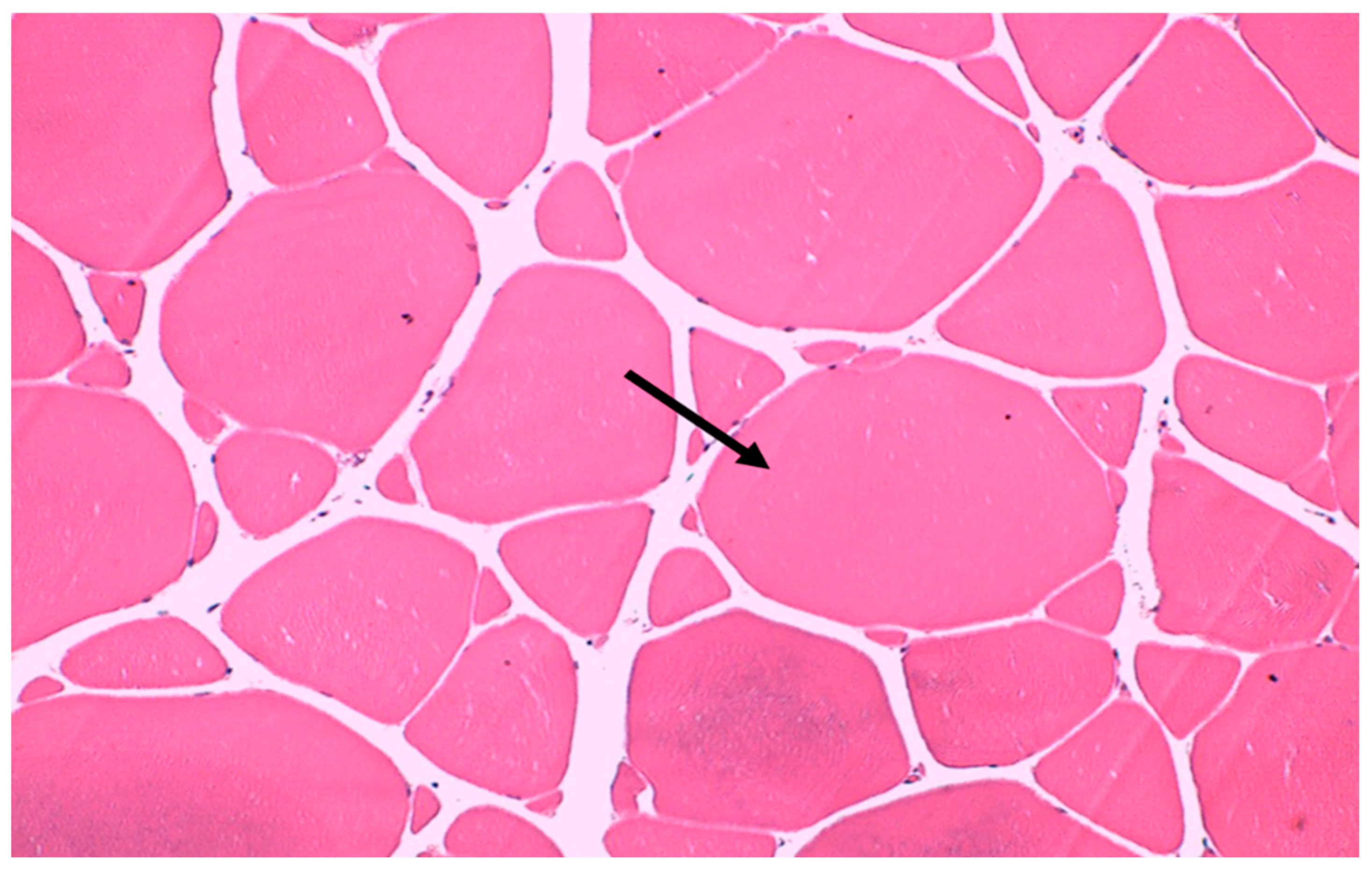 Biology 13 00825 g001