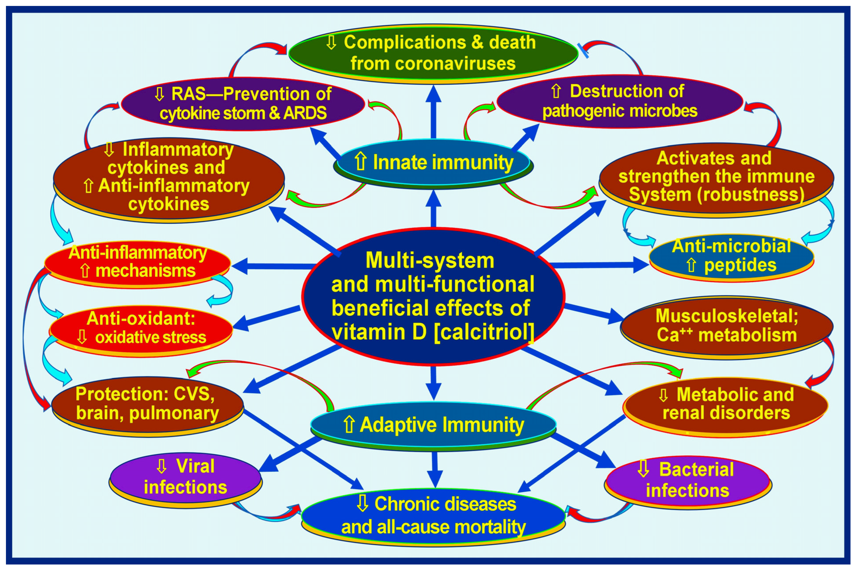 Biology 13 00831 g001