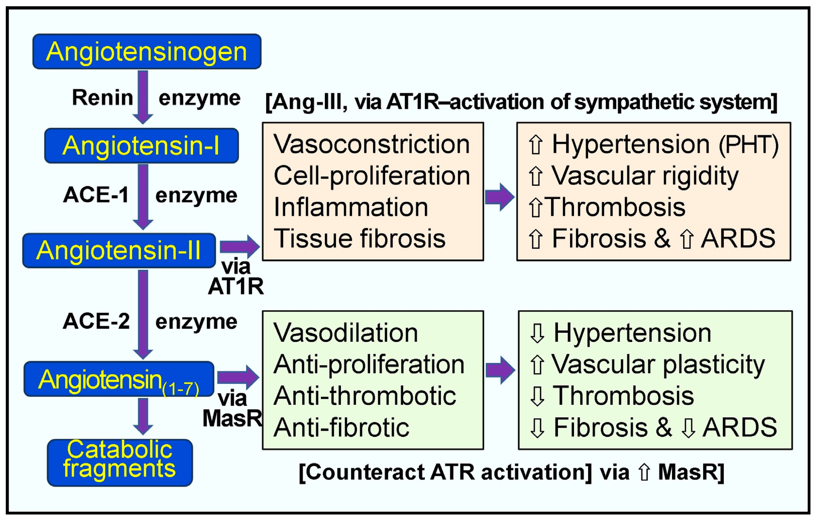Biology 13 00831 g002