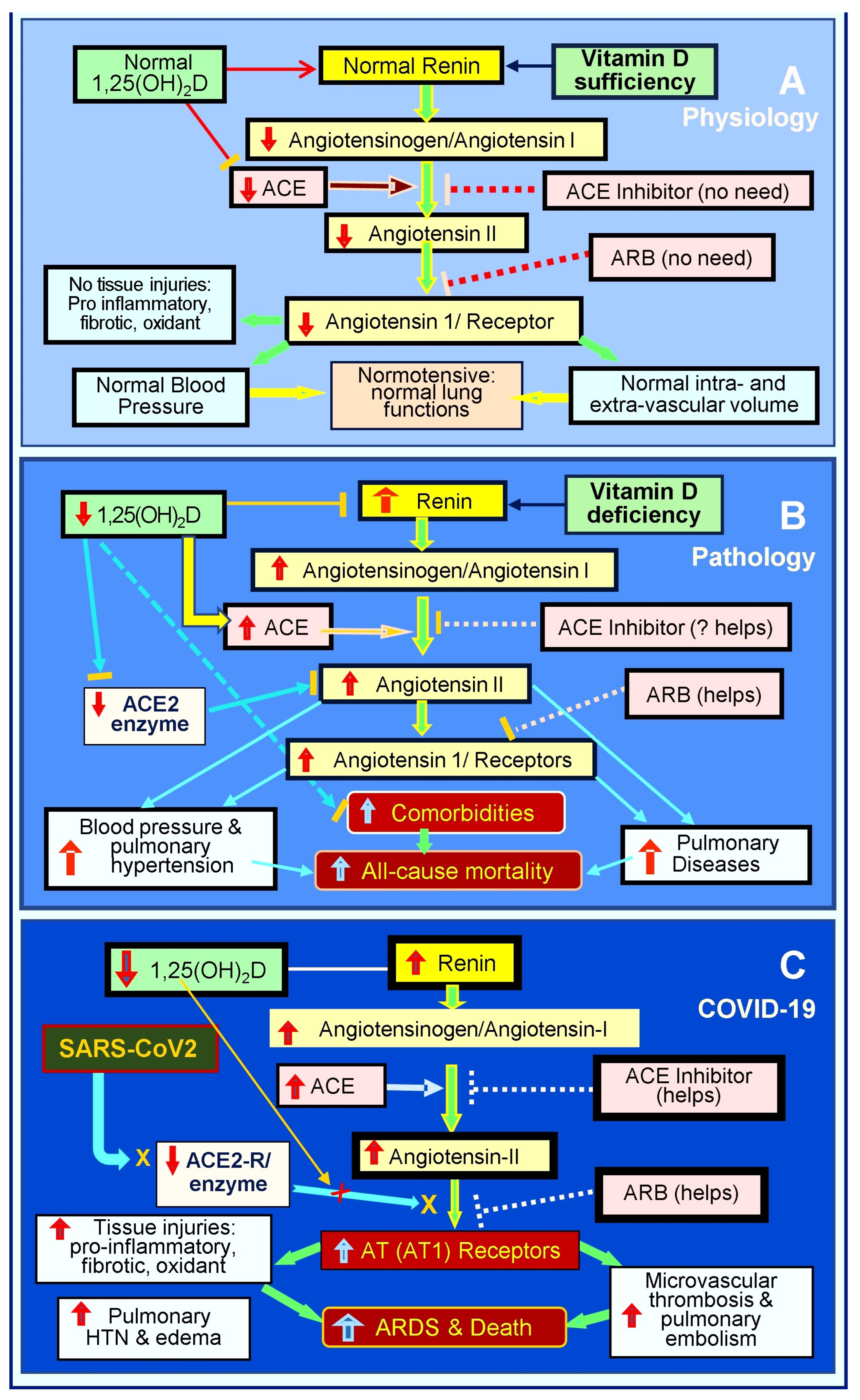 Biology 13 00831 g003
