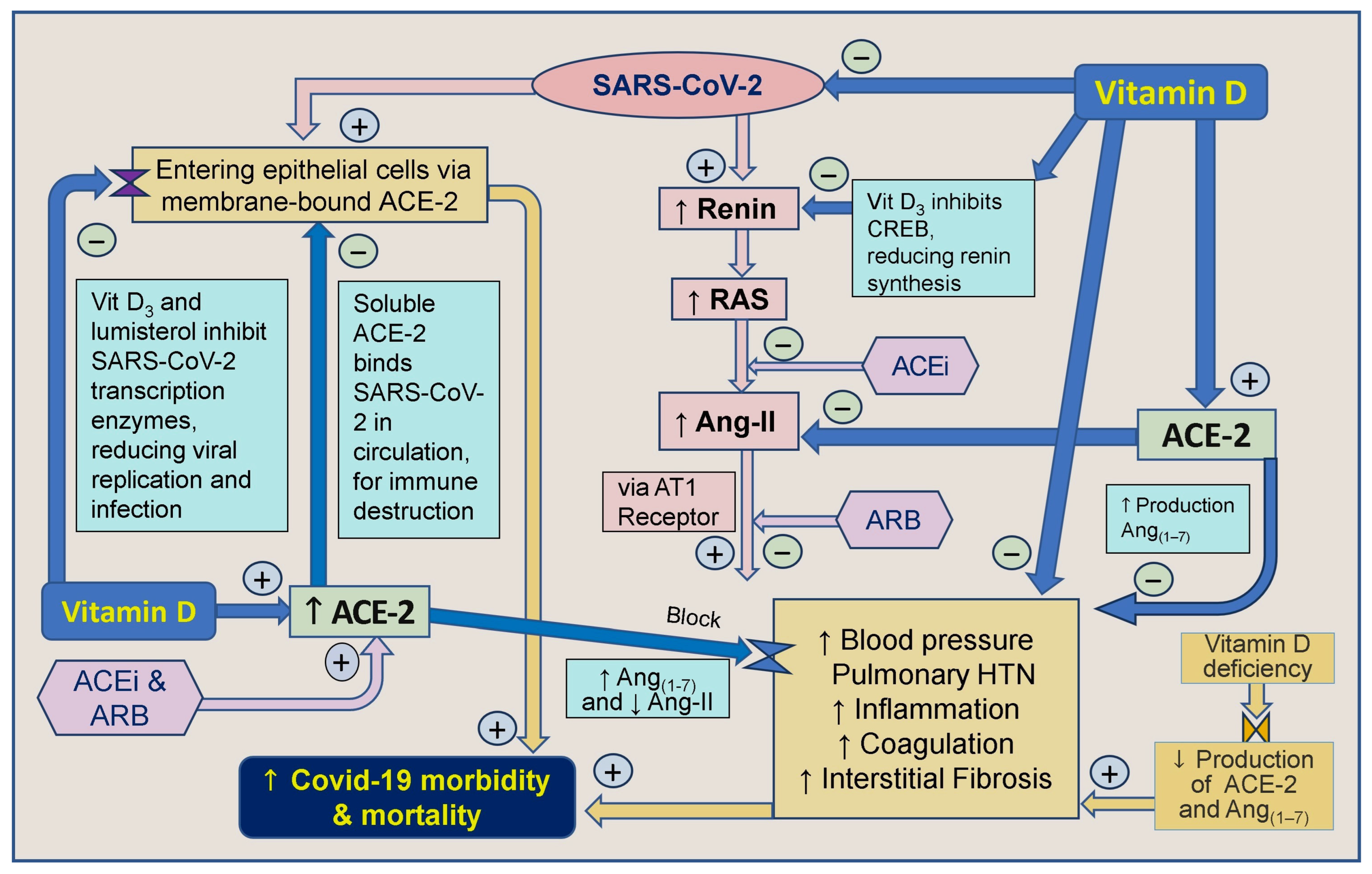 Biology 13 00831 g004