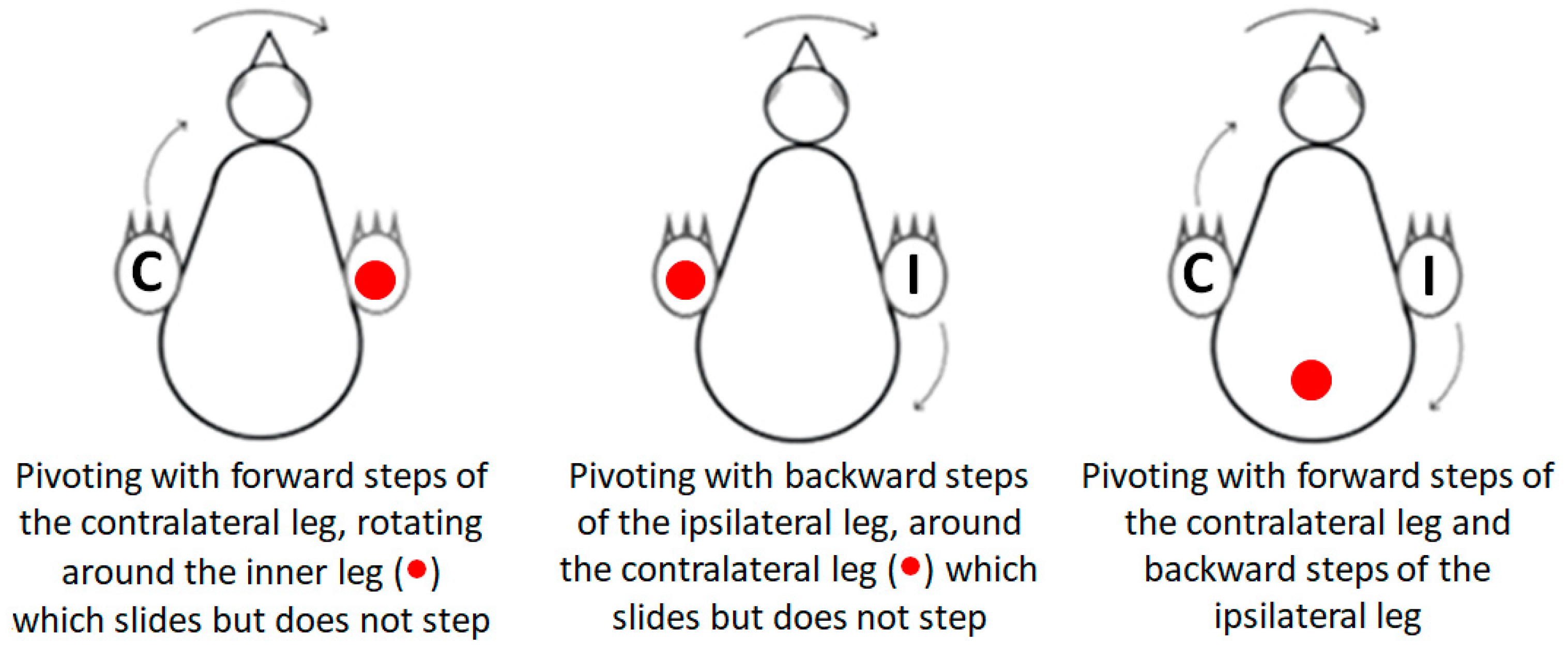 Biology 13 00834 g001