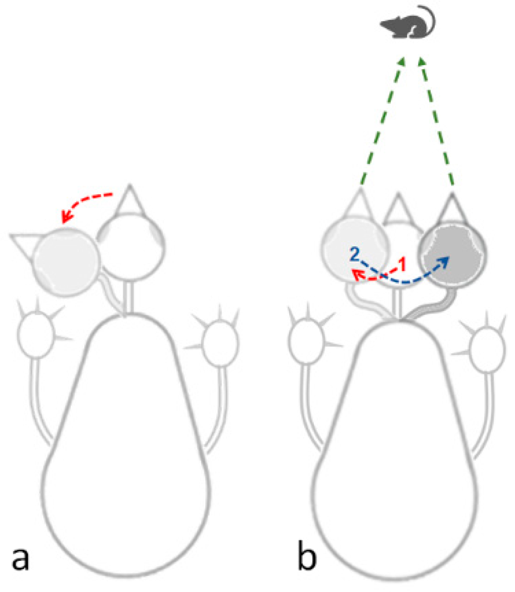Biology 13 00834 g002
