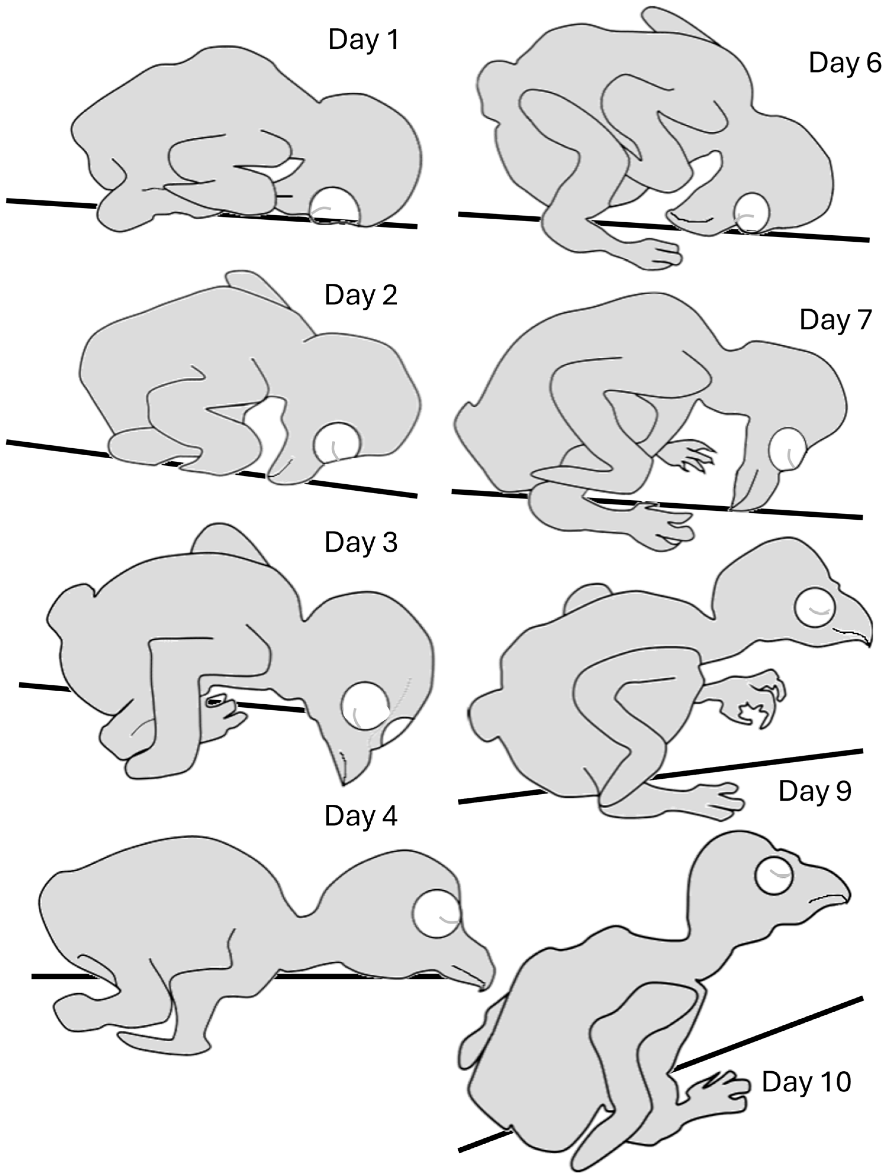 Biology 13 00834 g003