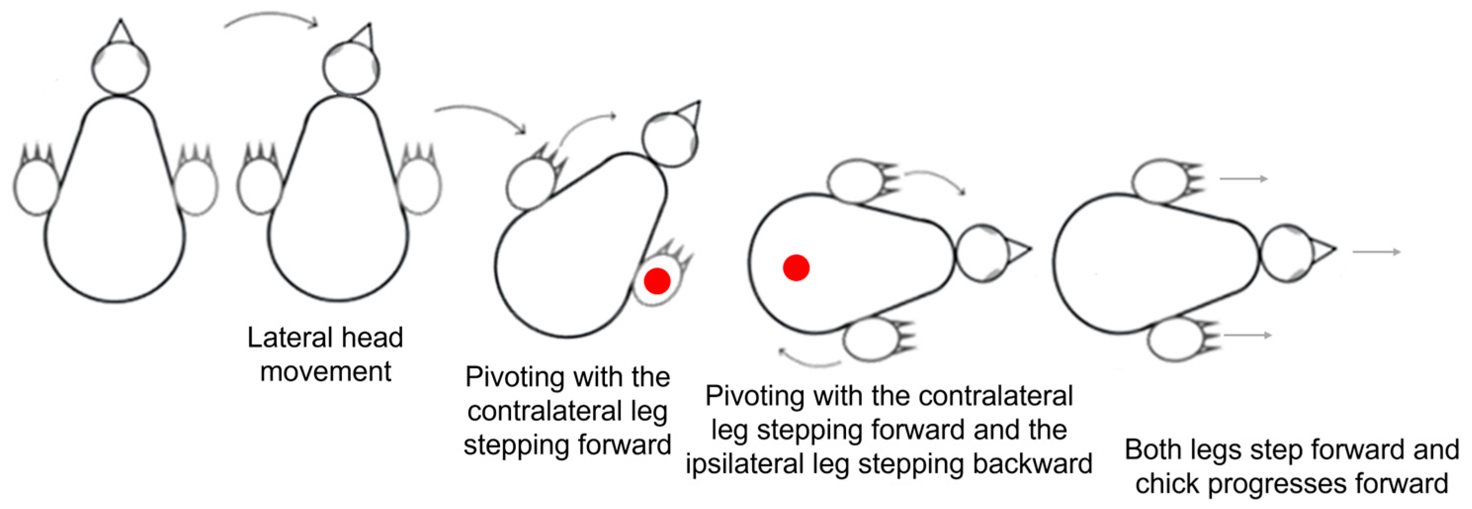 Biology 13 00834 g013