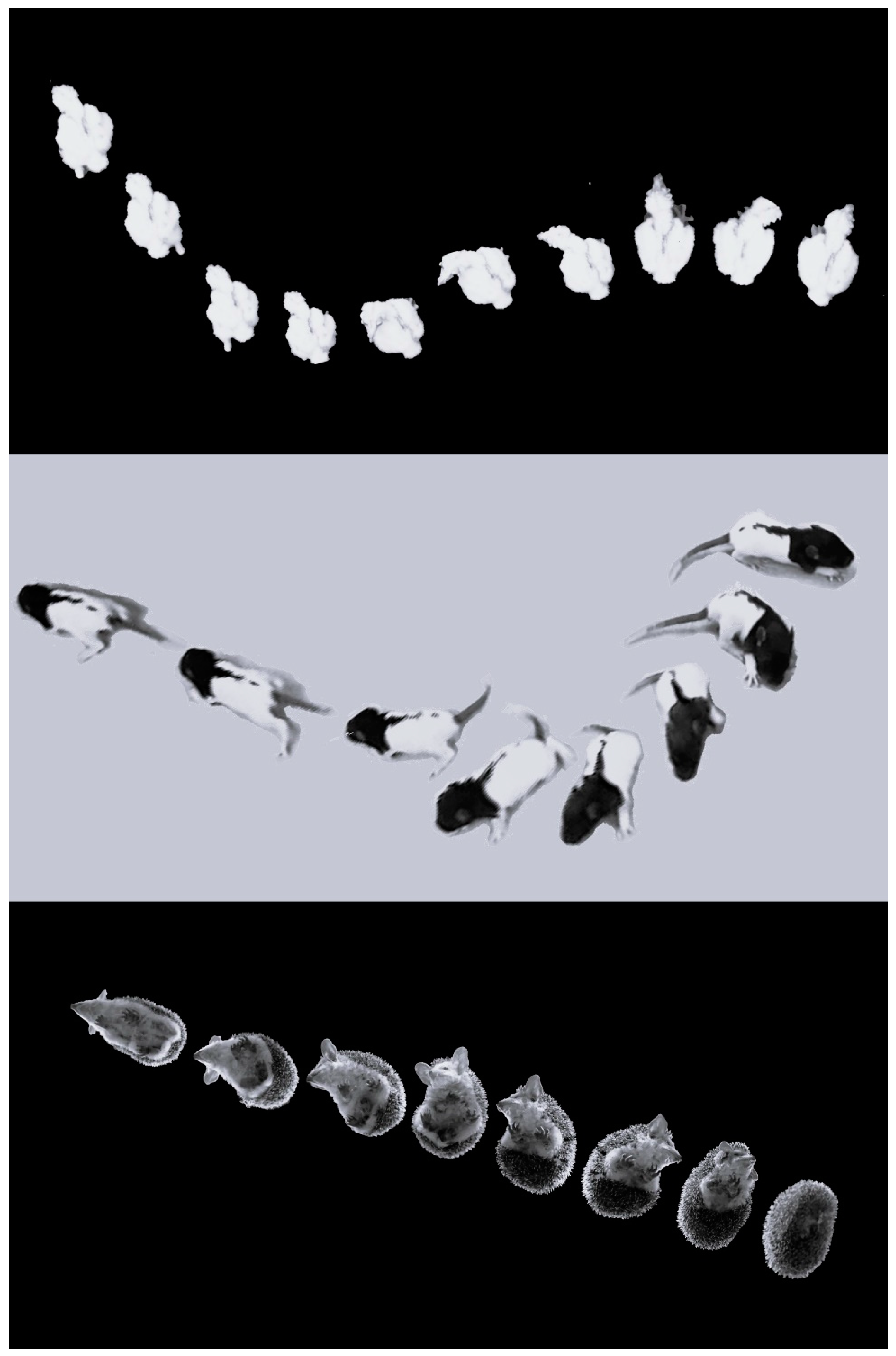 Biology 13 00834 g014