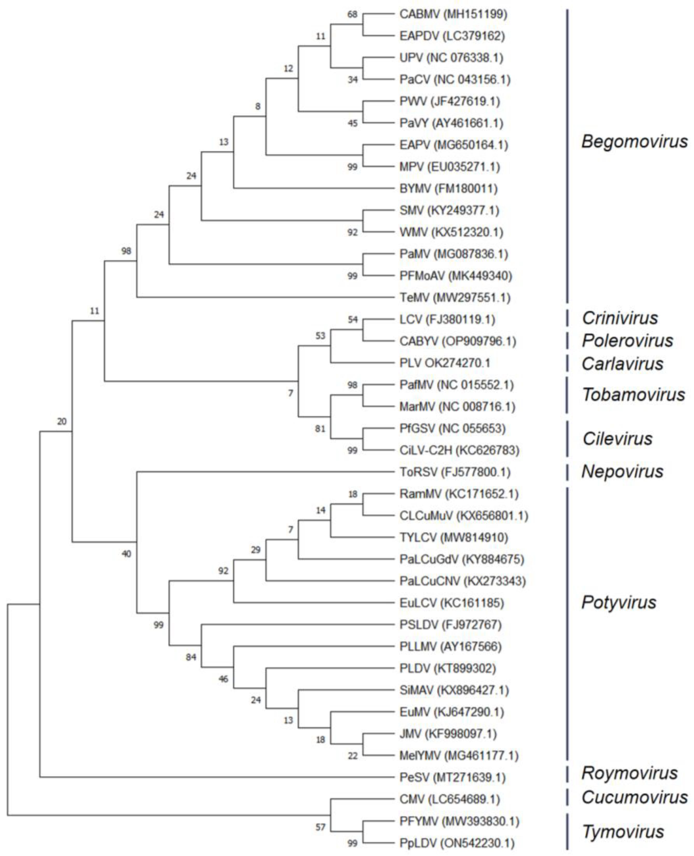 Biology 13 00839 g003
