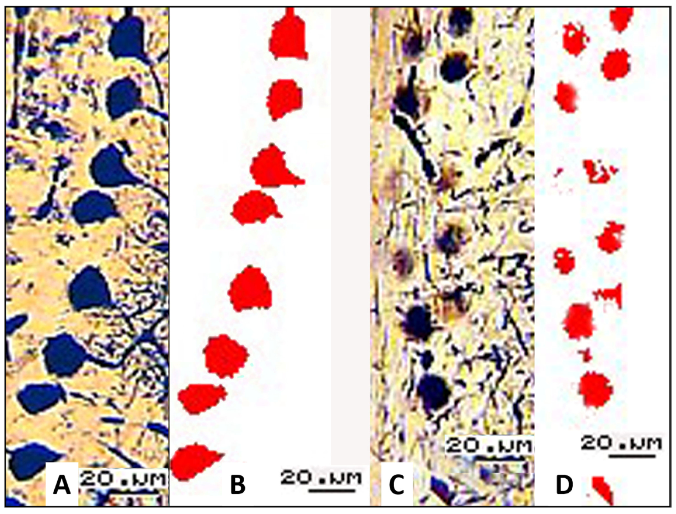 Biology 13 00840 g004
