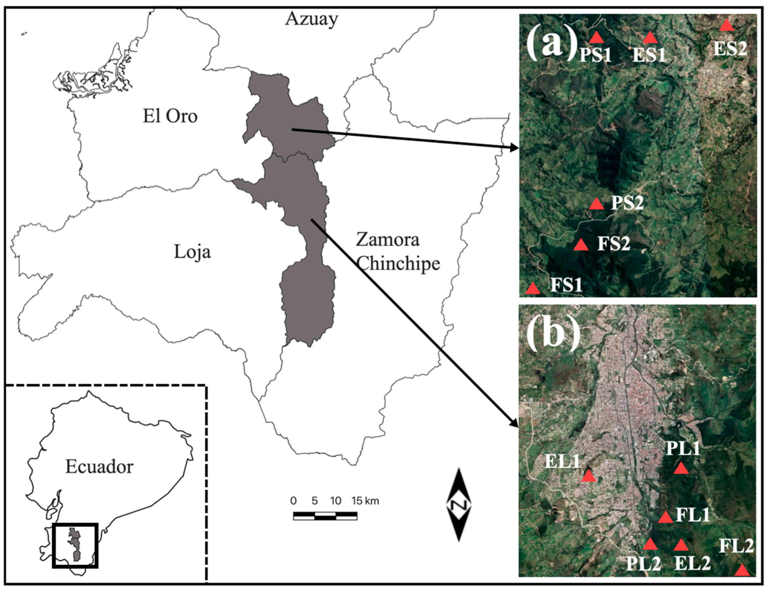 Biology 13 00841 g001