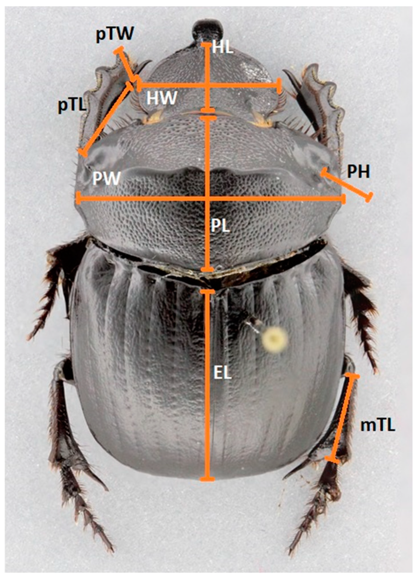 Biology 13 00841 g002