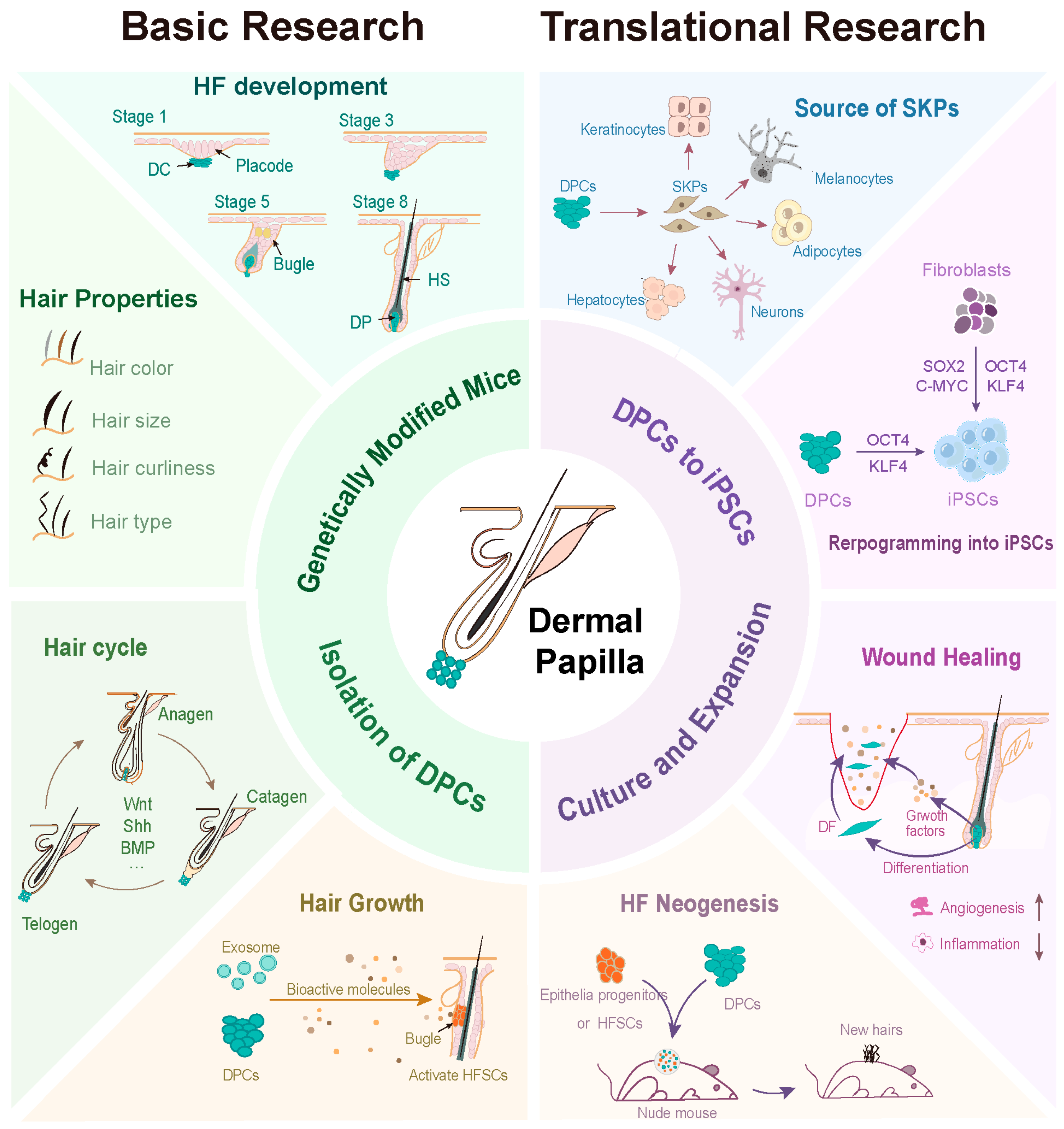 Biology 13 00842 g003