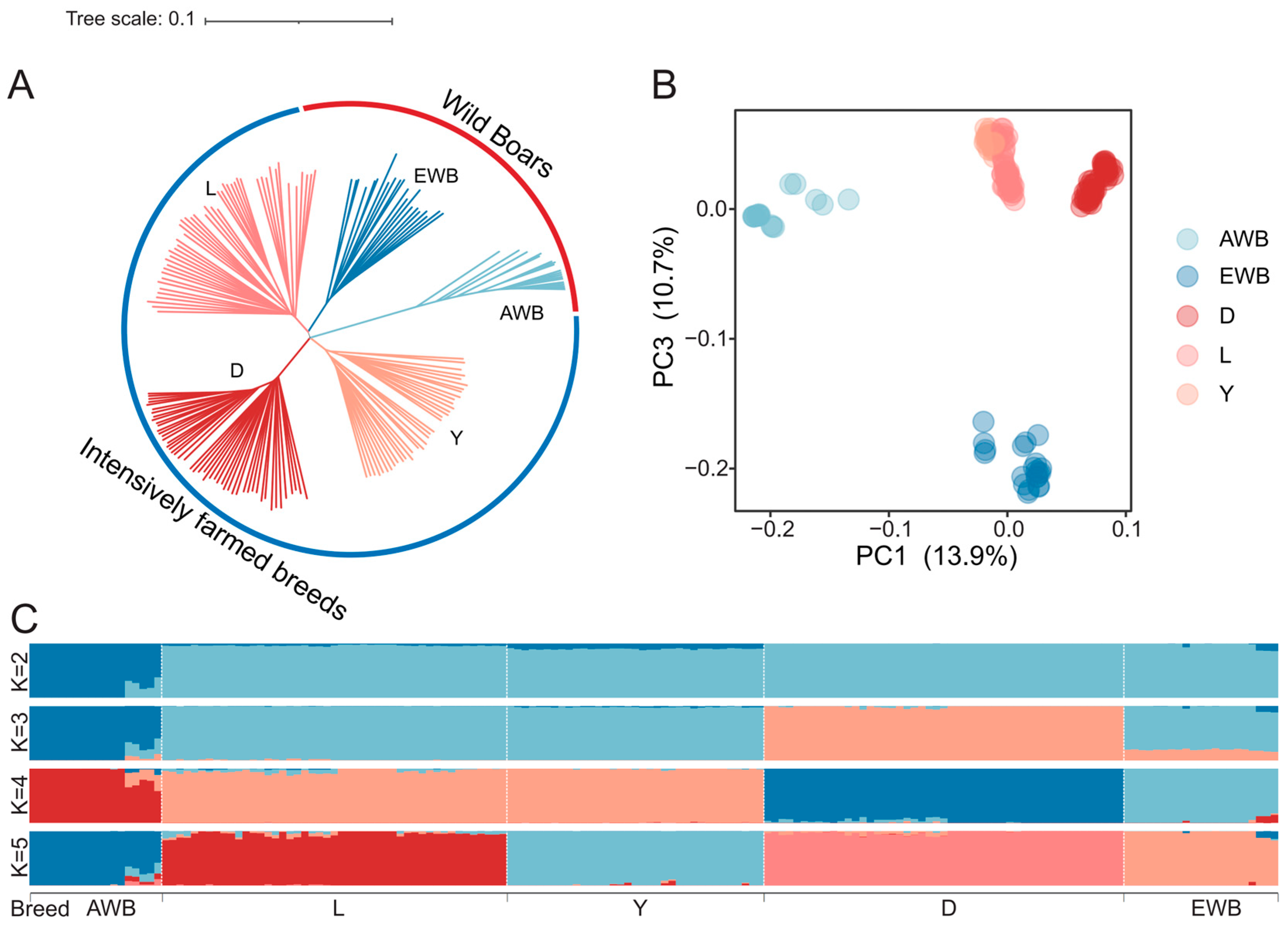 Biology 13 00843 g002