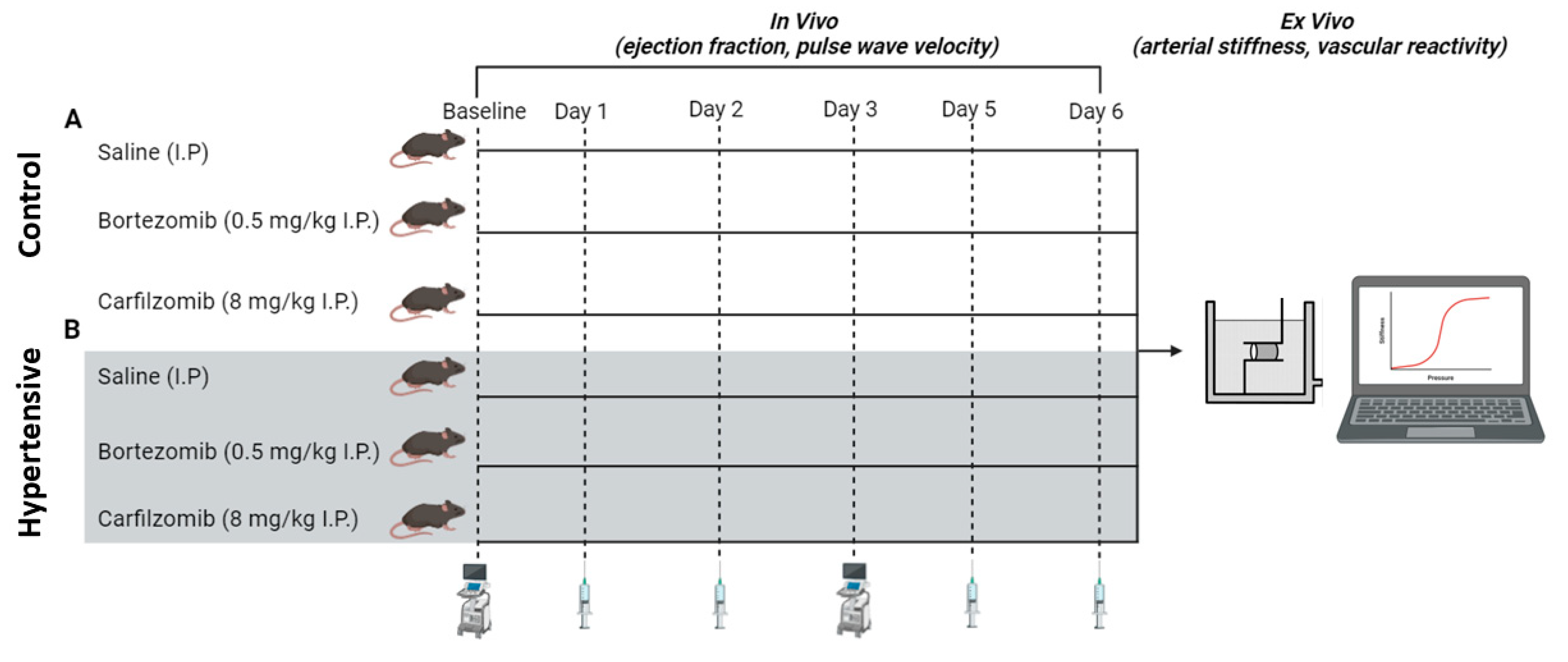 Biology 13 00844 g001