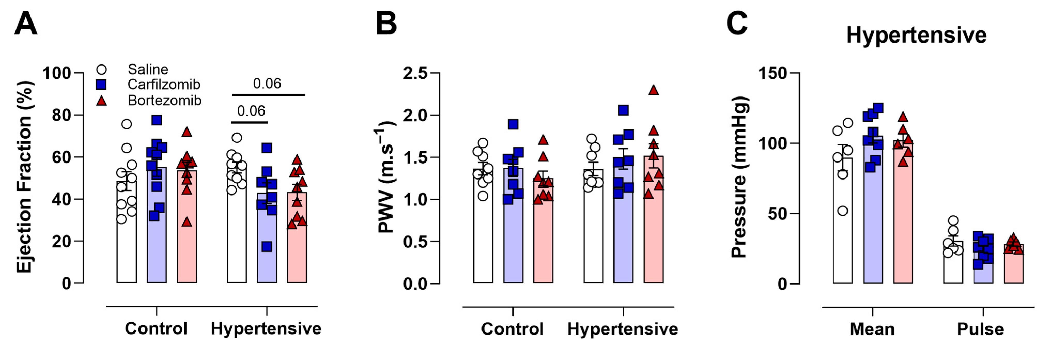 Biology 13 00844 g002