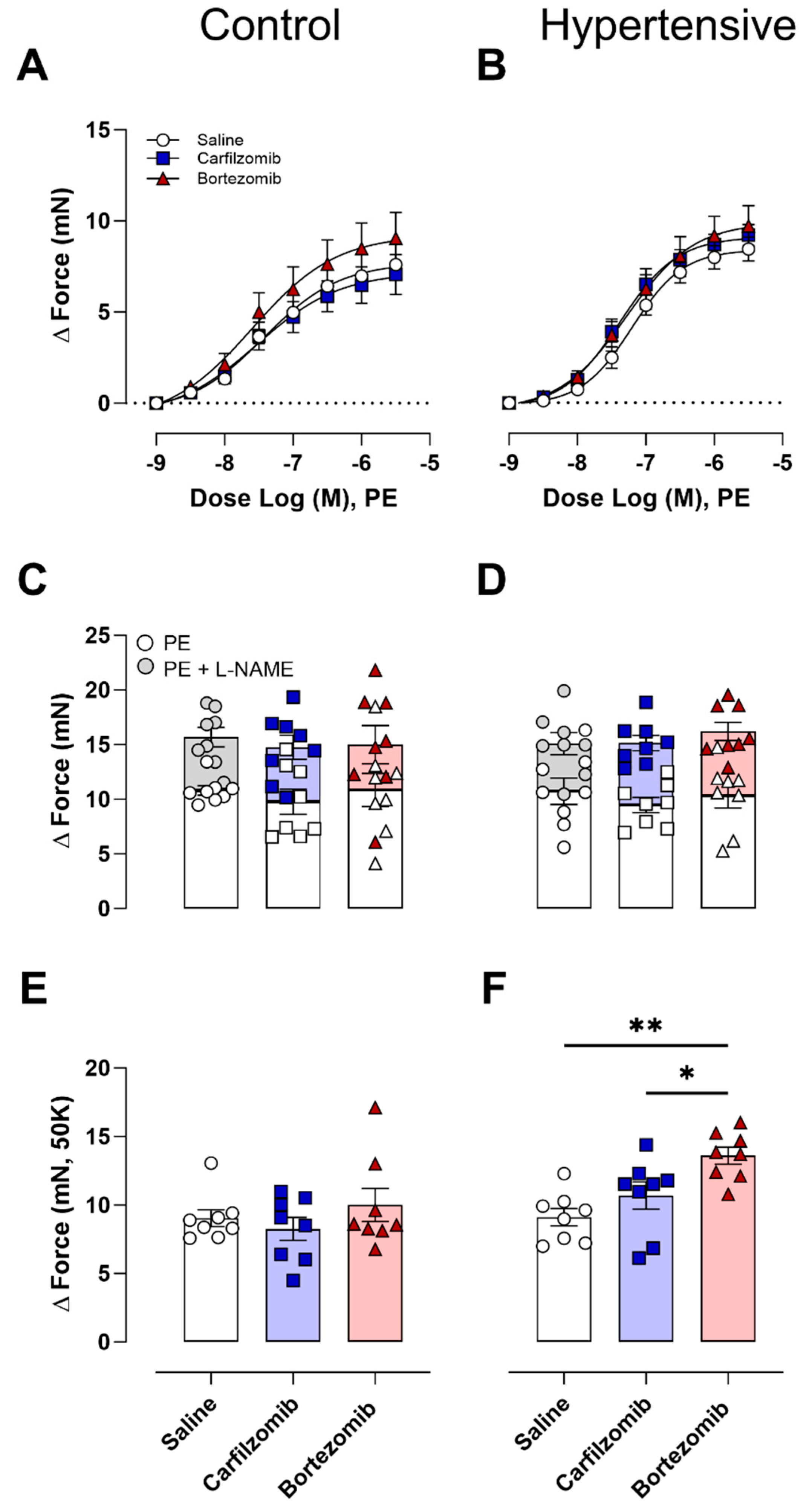 Biology 13 00844 g004
