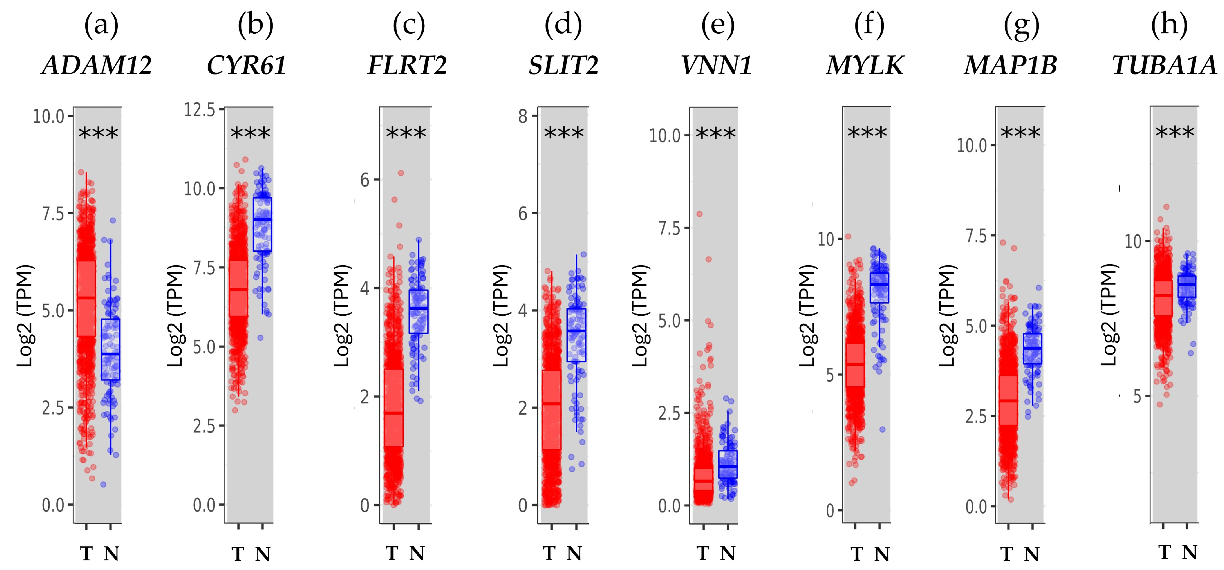 Biology 13 00849 g002 Biology 13 00849 g002