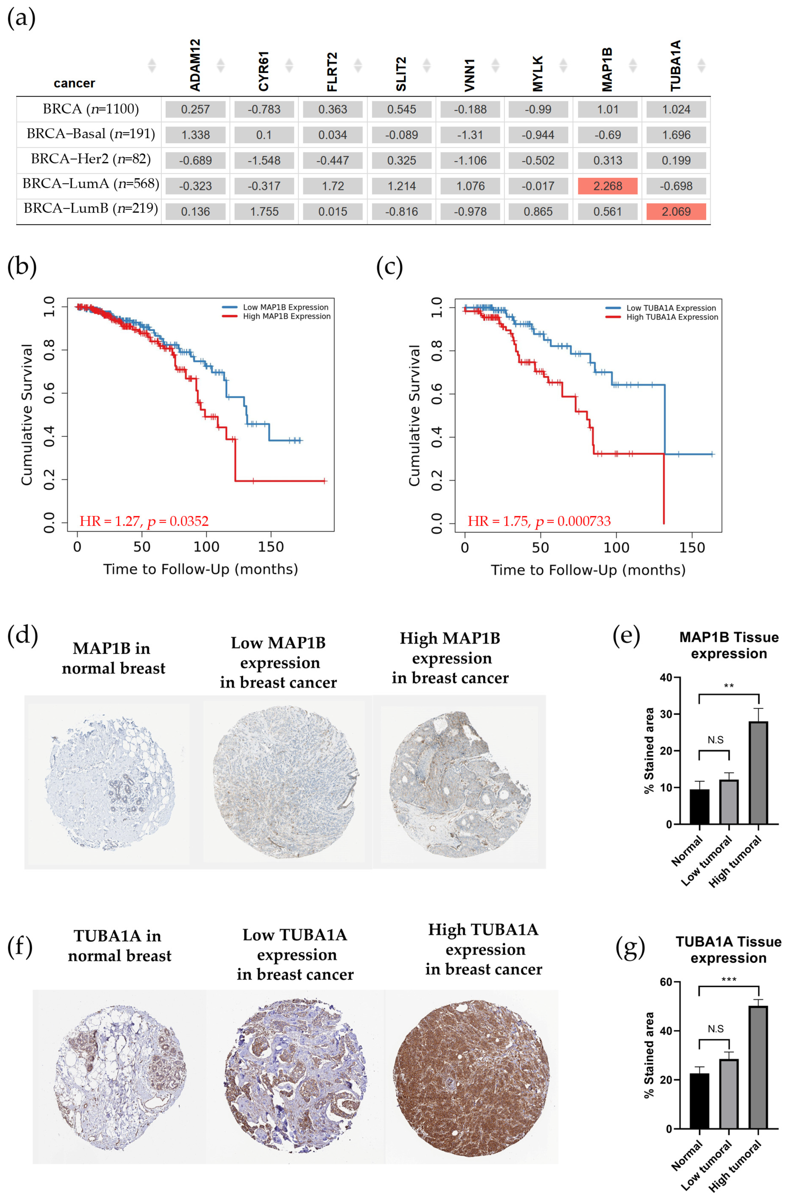 Biology 13 00849 g006 Biology 13 00849 g006