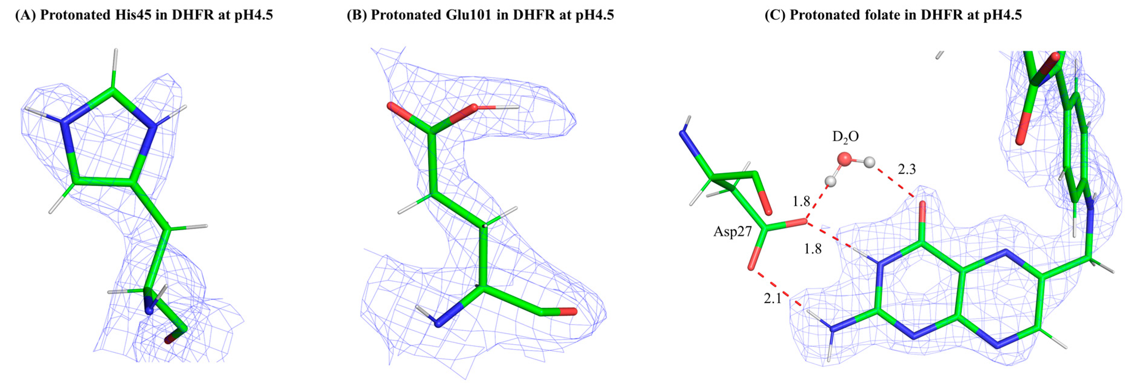 Biology 13 00850 g001