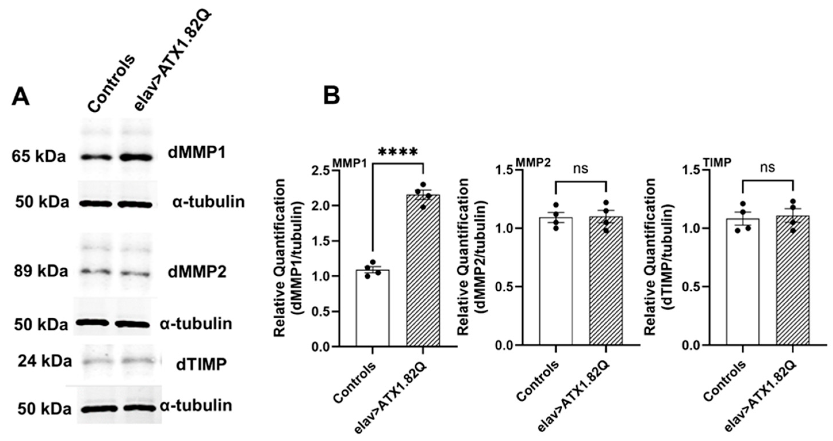 Biology 13 00854 g006 Biology 13 00854 g006