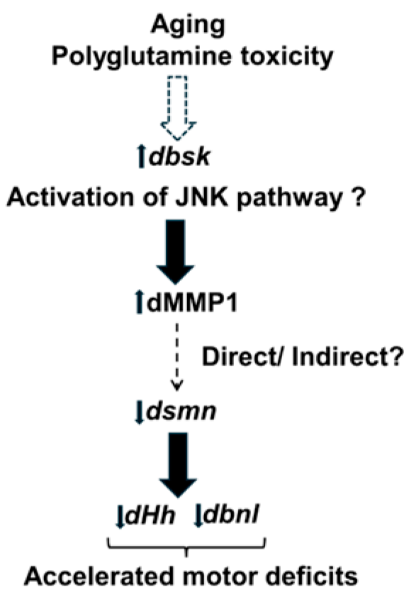 Biology 13 00854 g007 Biology 13 00854 g007
