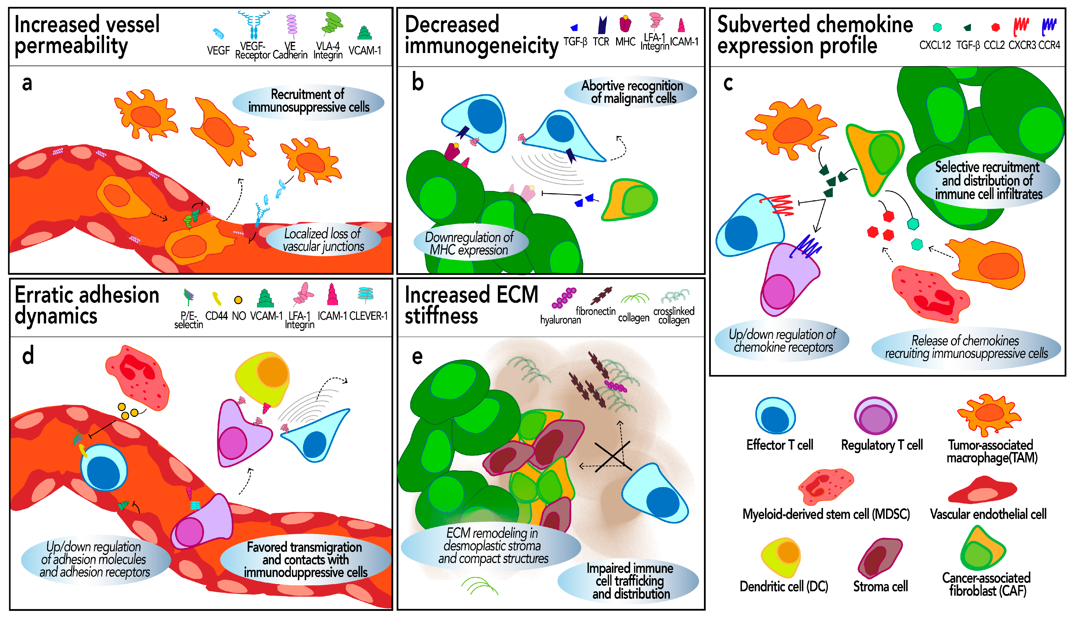 Biology 13 00860 g002