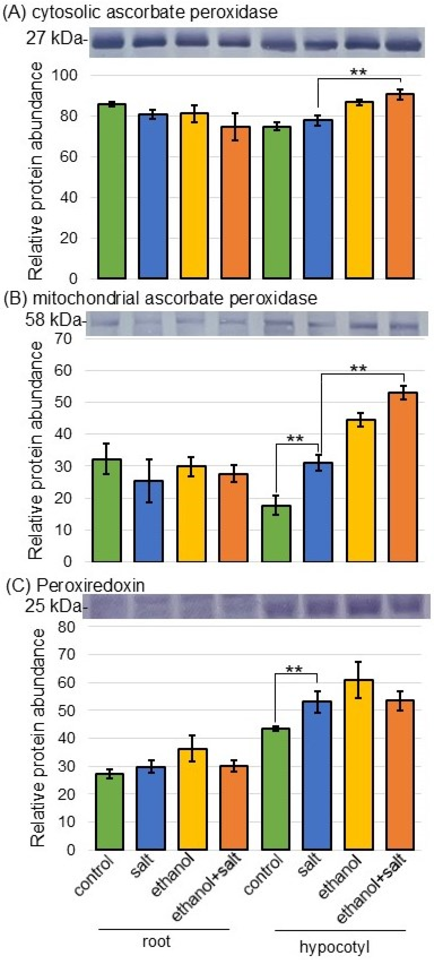 Biology 13 00861 g005