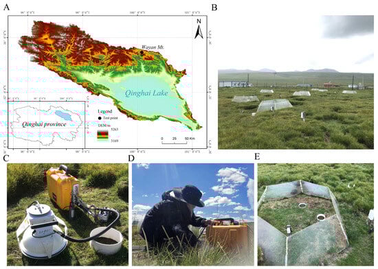 Biology 13 00863 g001