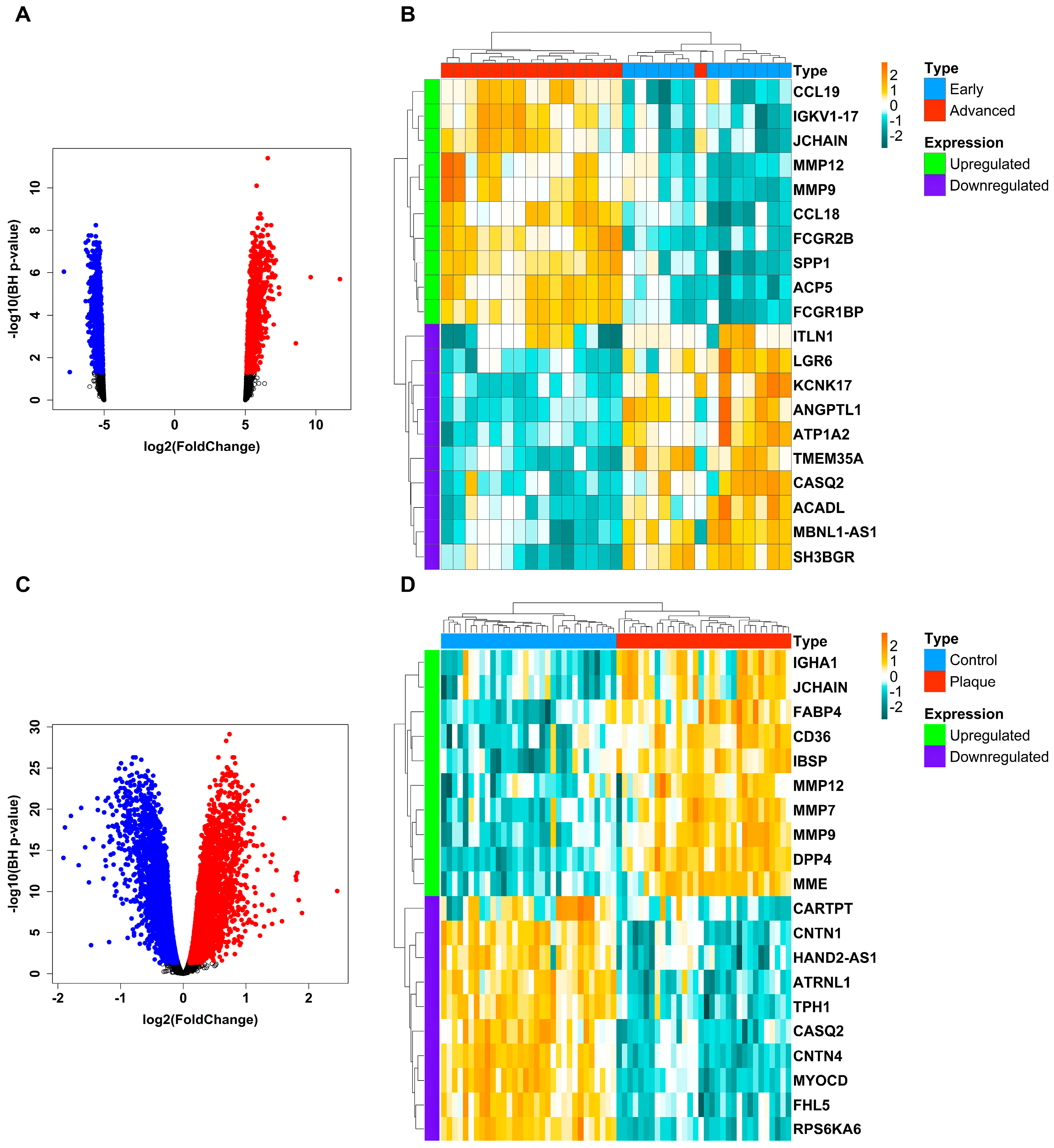 Biology 13 00867 g001