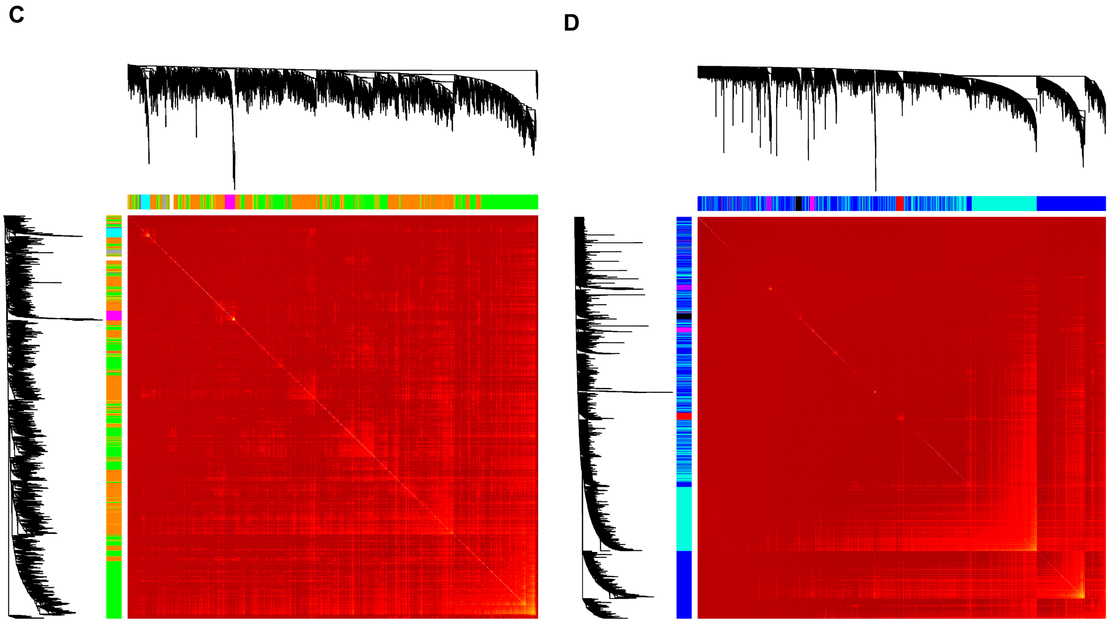 Biology 13 00867 g002b