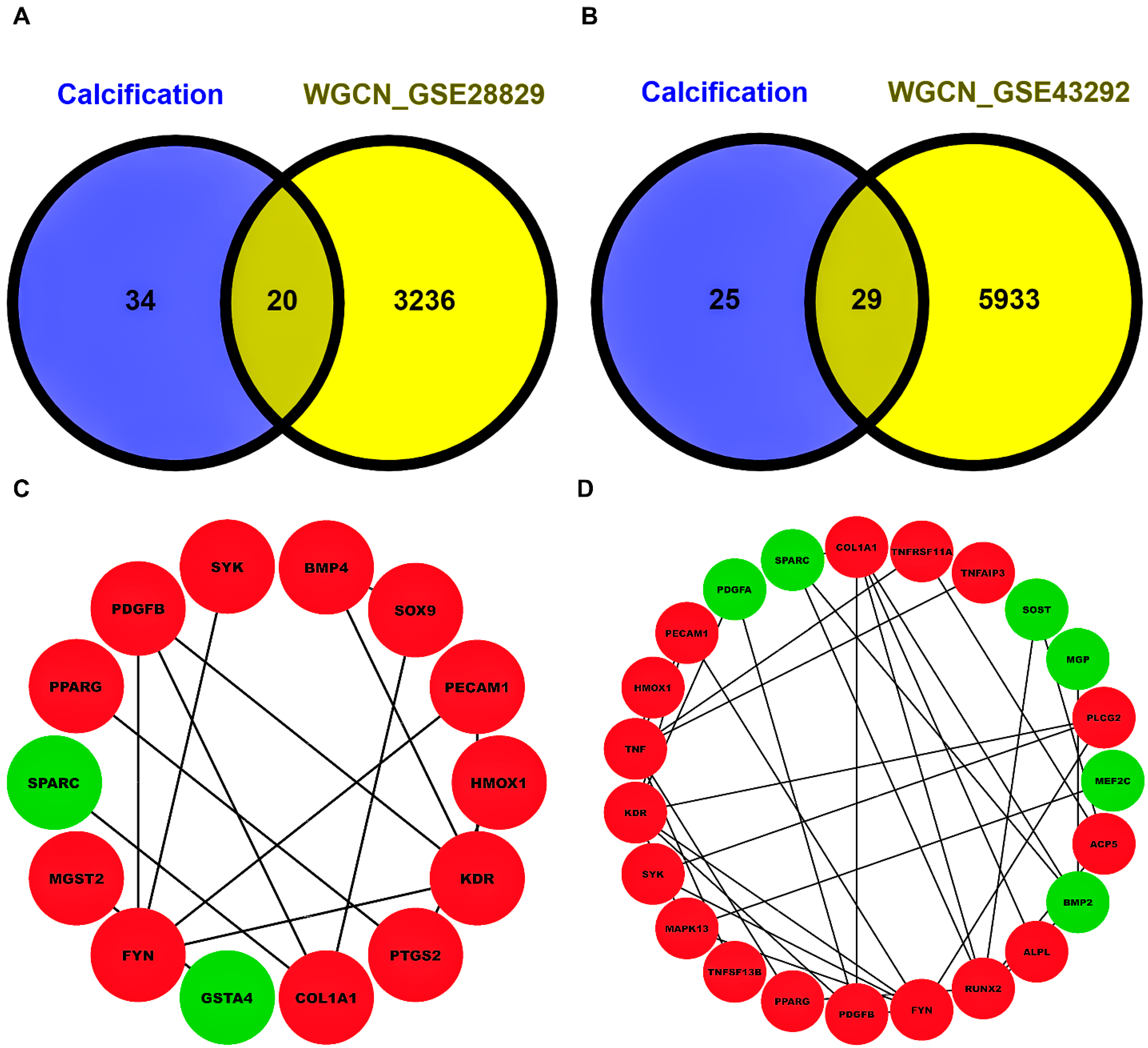 Biology 13 00867 g003