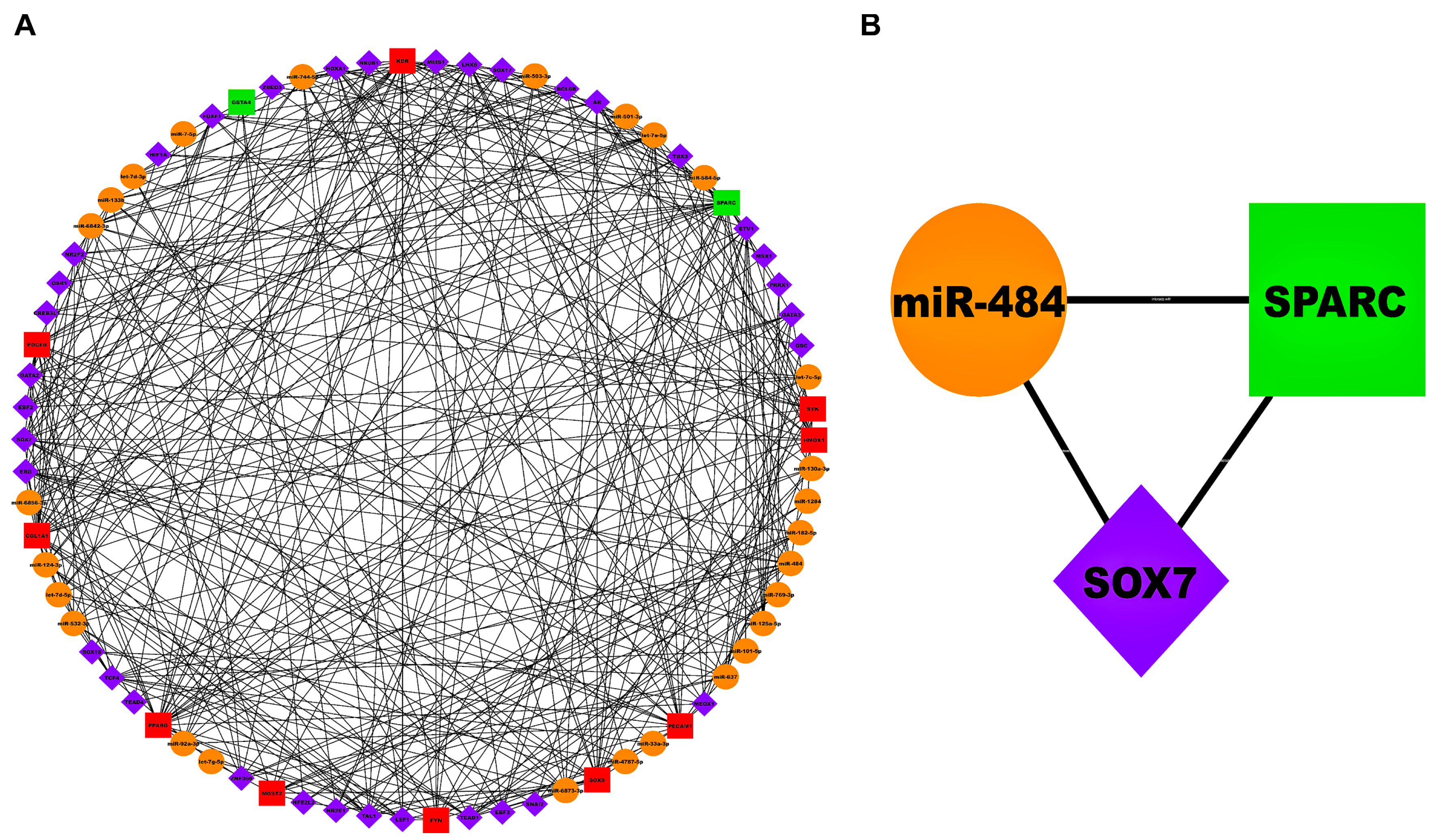 Biology 13 00867 g006