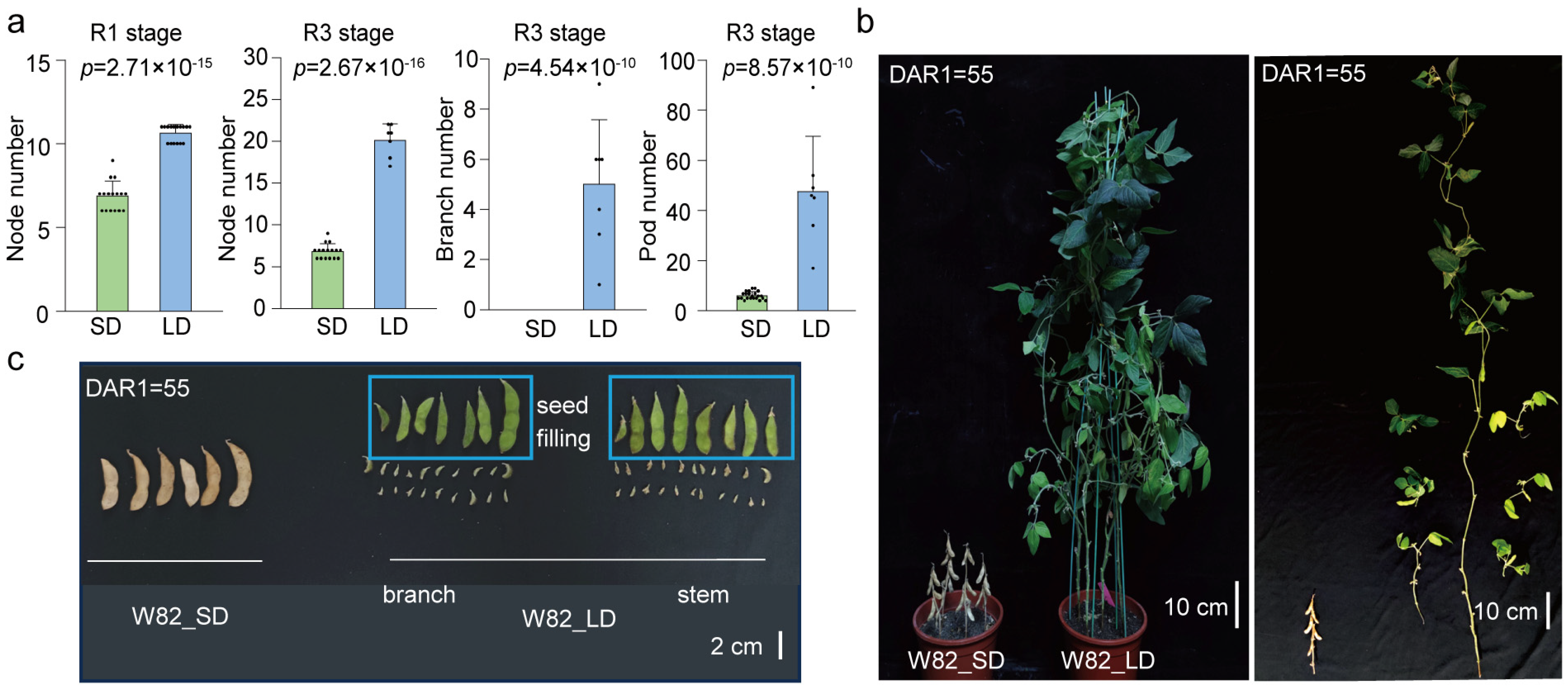 Biology 13 00868 g002