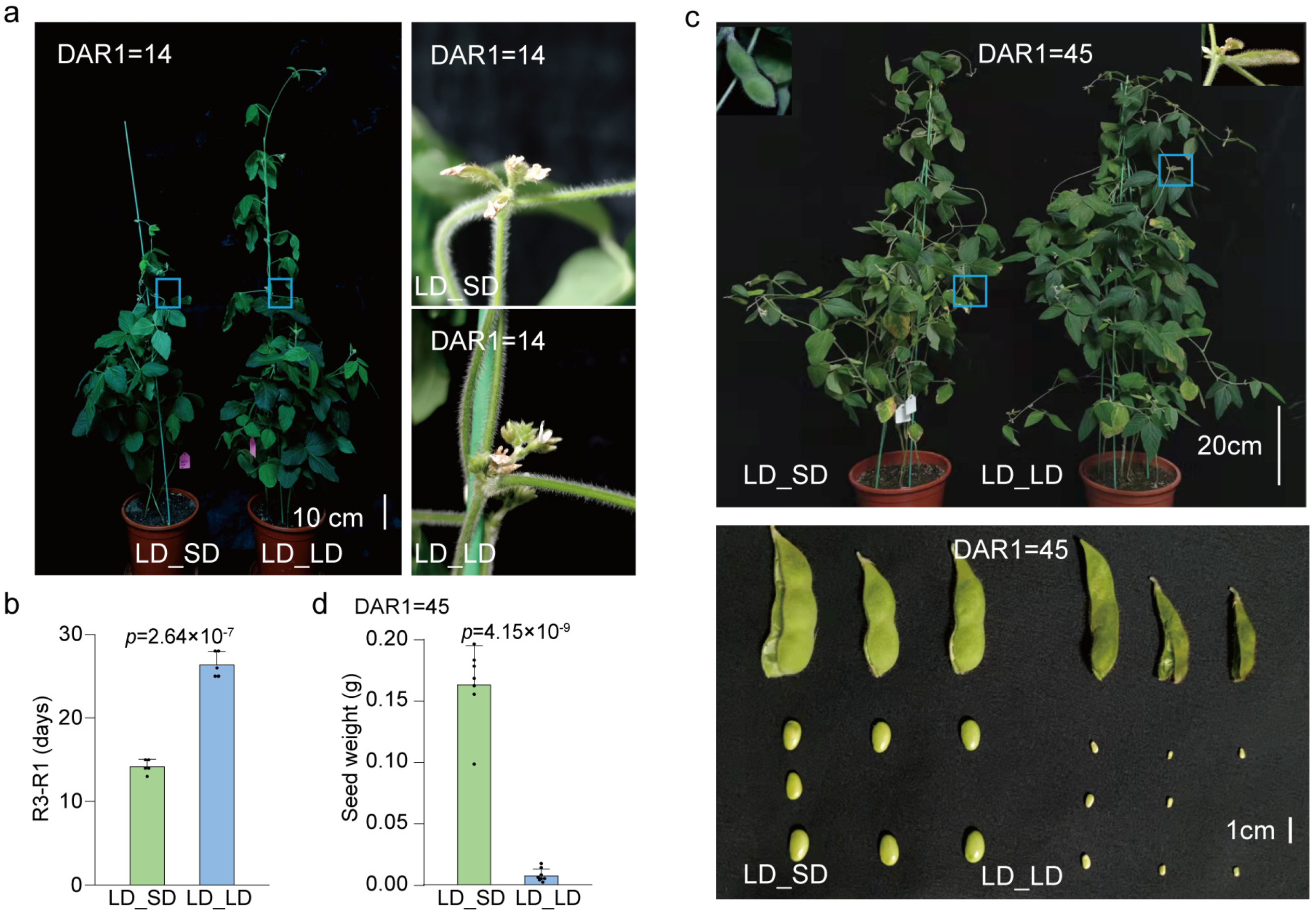 Biology 13 00868 g003