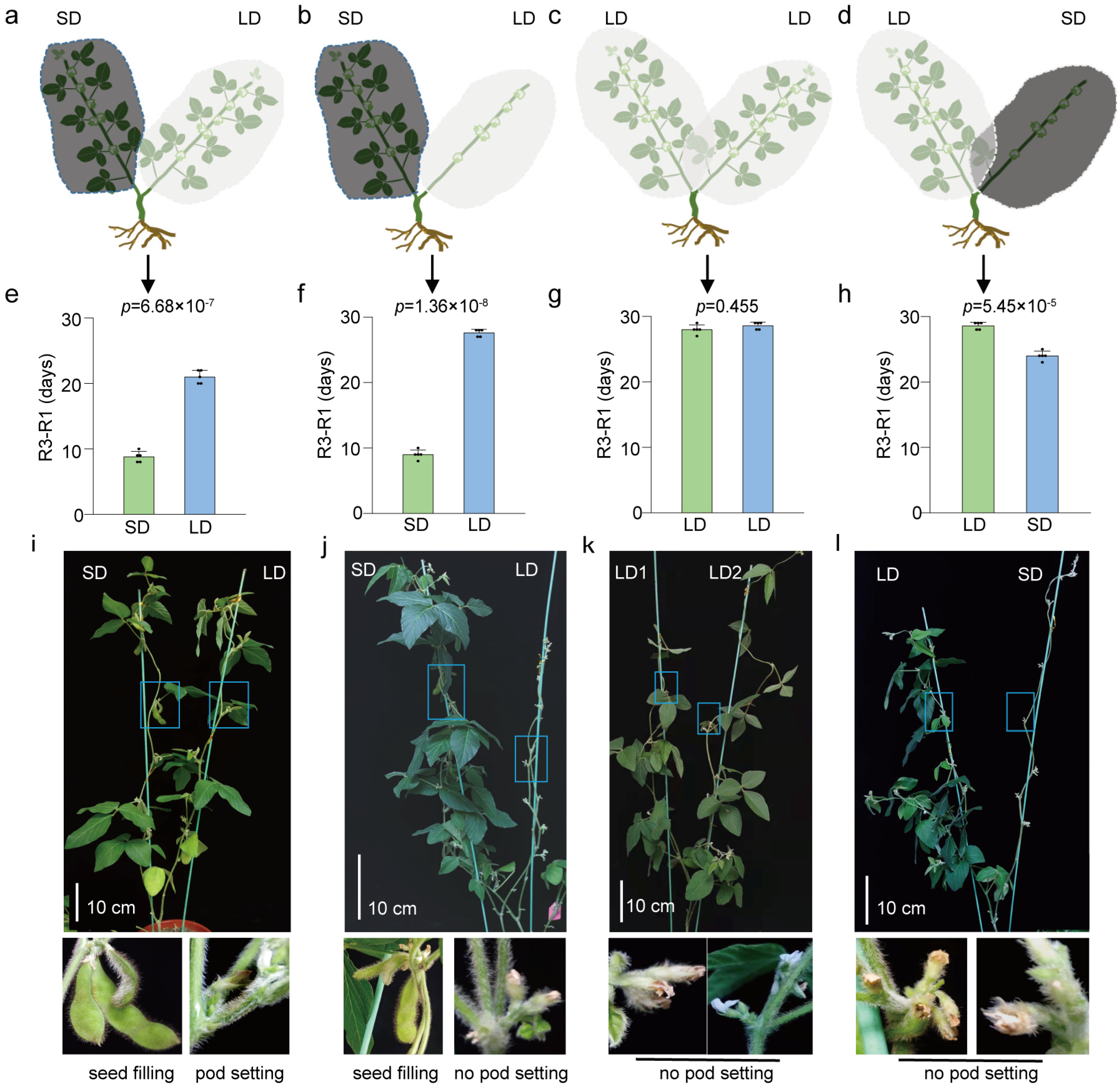 Biology 13 00868 g004