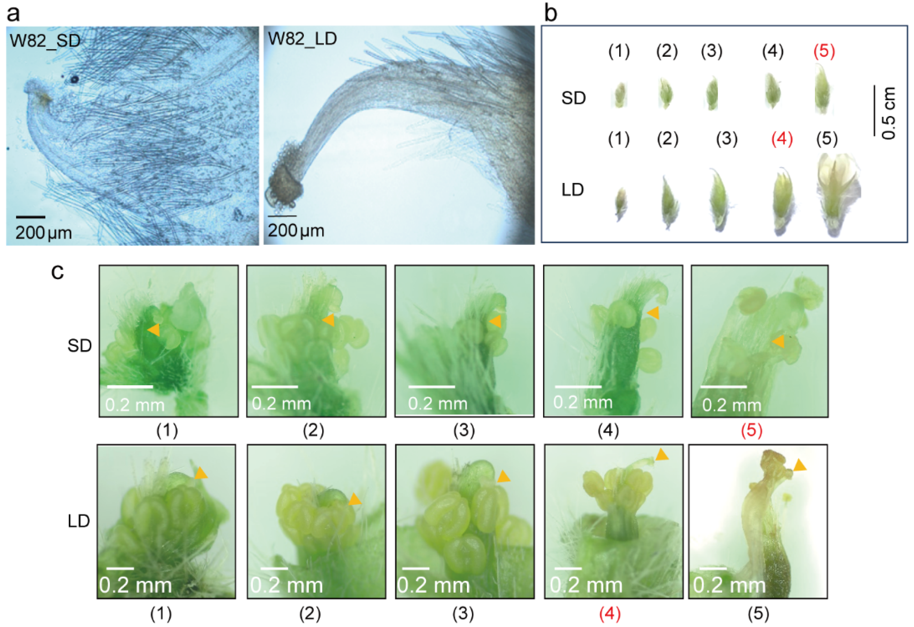 Biology 13 00868 g005
