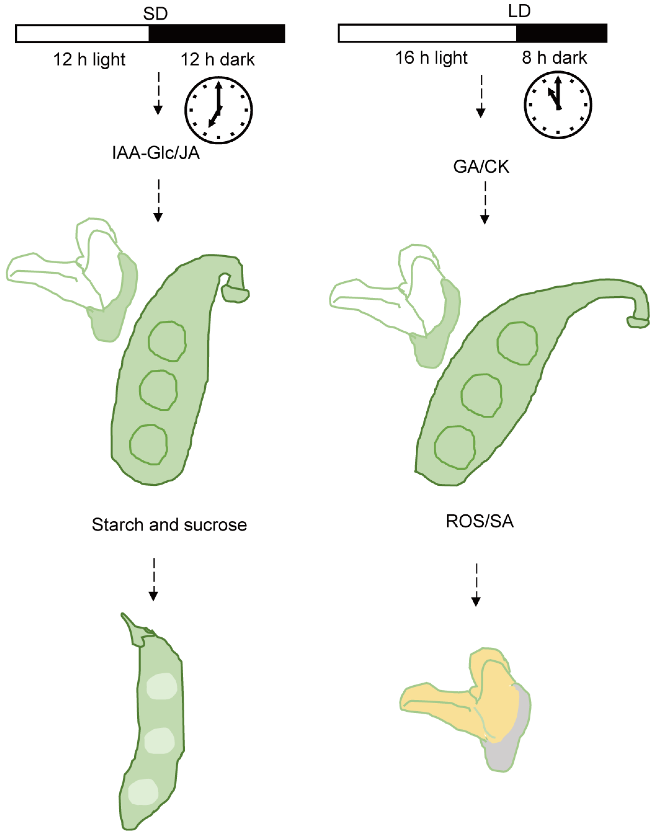 Biology 13 00868 g008