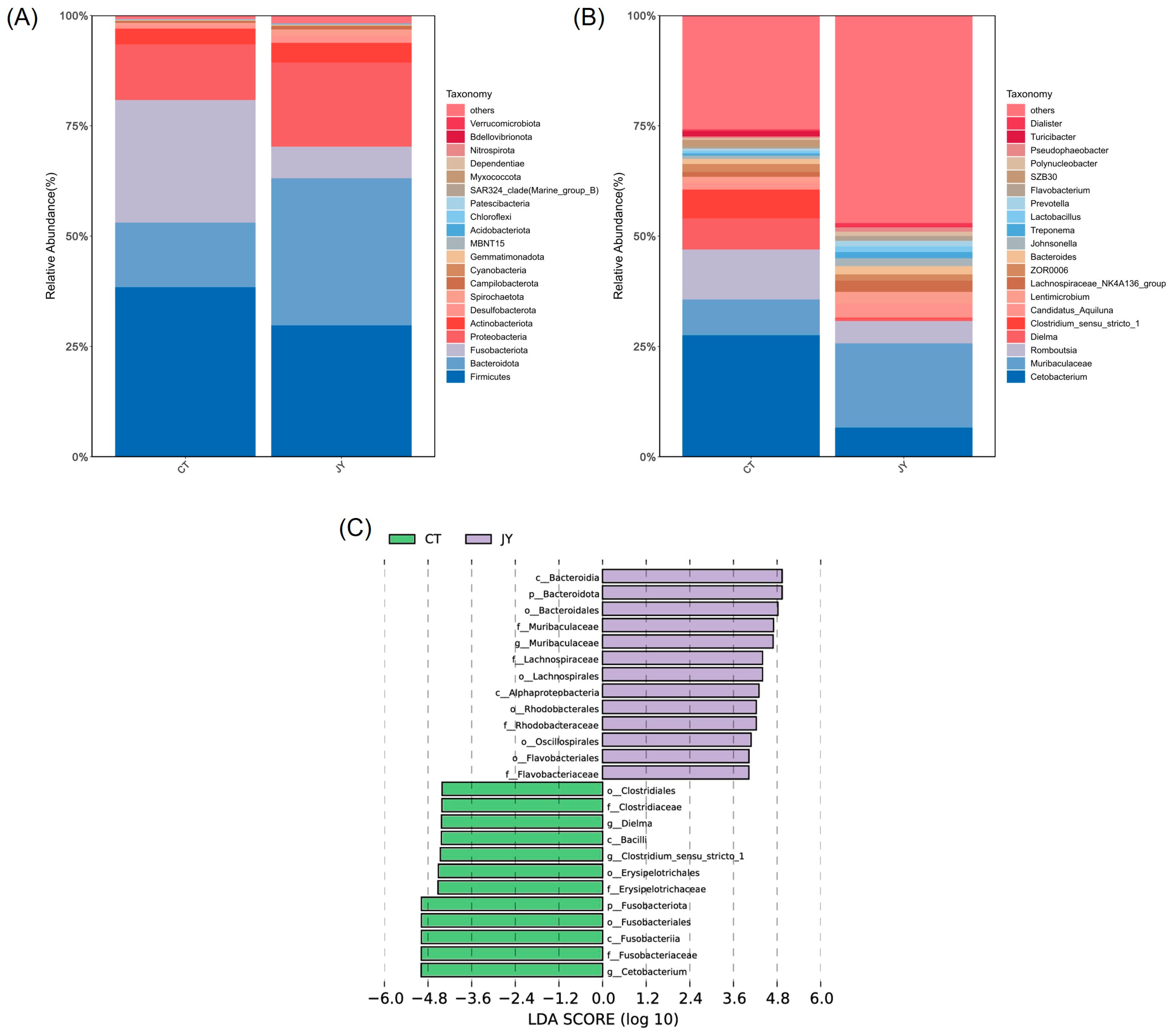 Biology 13 00869 g006
